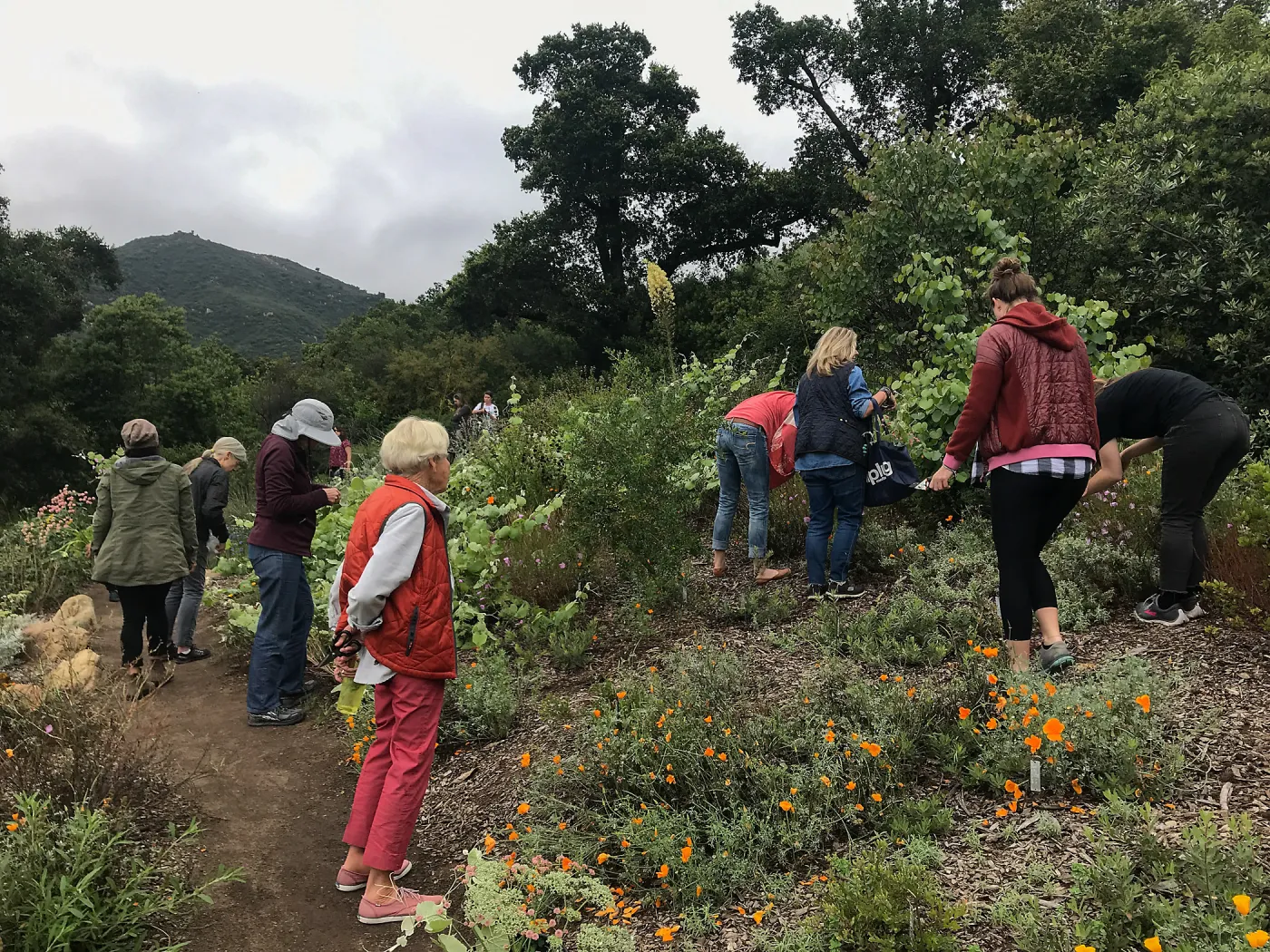 Bring the Wild Inside; Floral Design With California Native Plants
