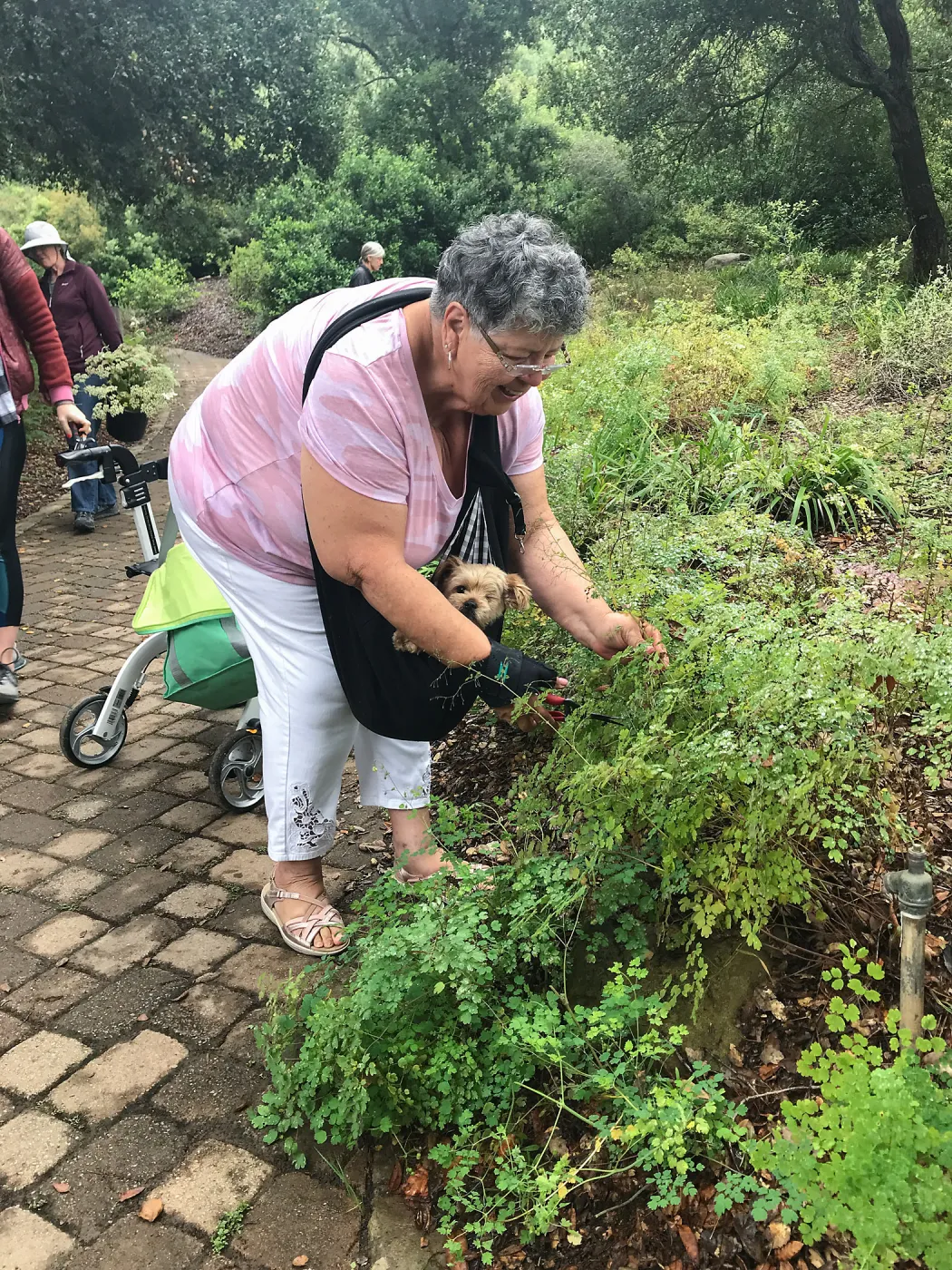 Bring the Wild Inside; Floral Design With California Native Plants