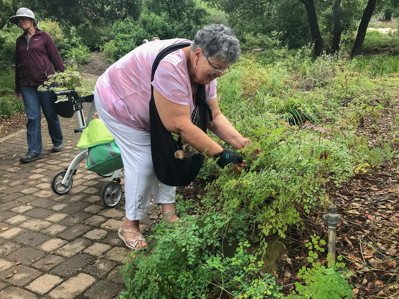 Bring the Wild Inside; Floral Design With California Native Plants