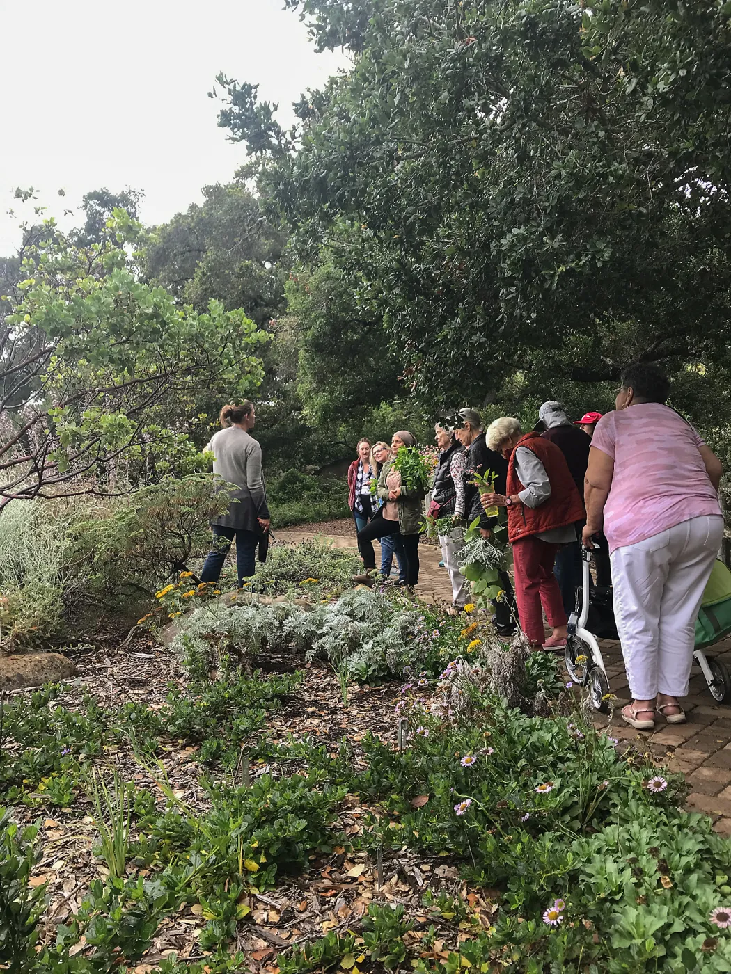 Bring the Wild Inside; Floral Design With California Native Plants