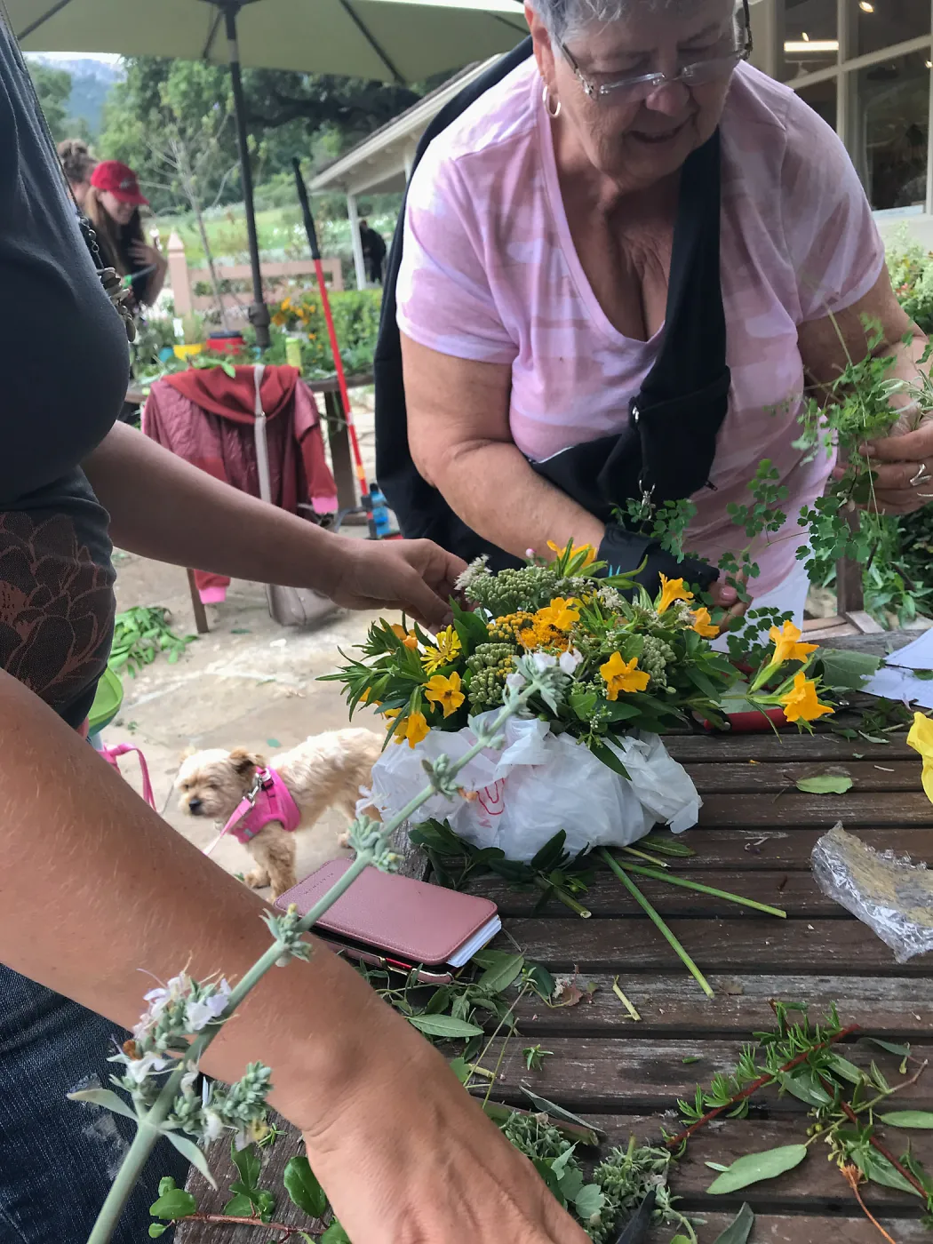 Bring the Wild Inside; Floral Design With California Native Plants