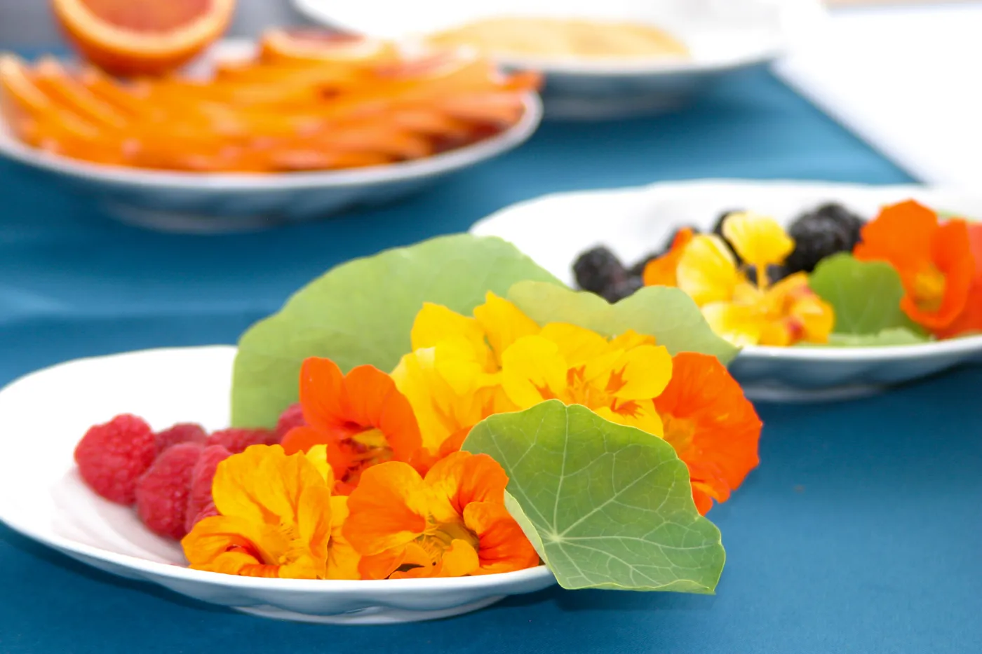 2019 Santa Barbara Beer Garden Event