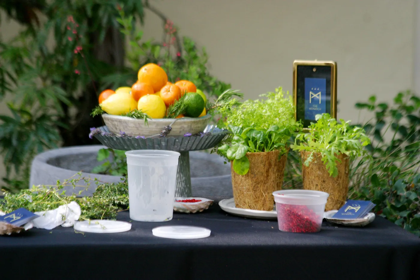 2019 Santa Barbara Beer Garden Event