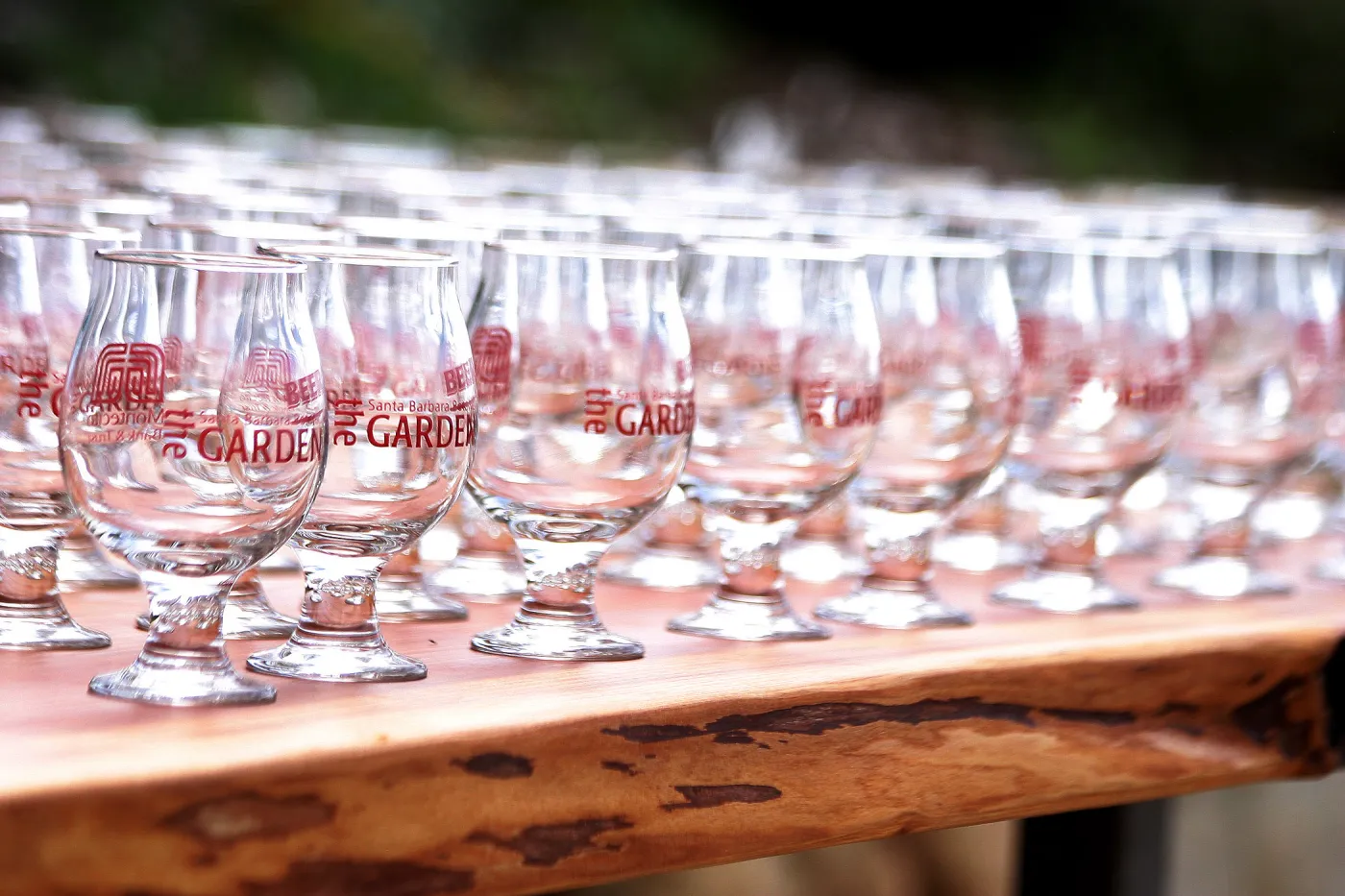 2019 Santa Barbara Beer Garden Event