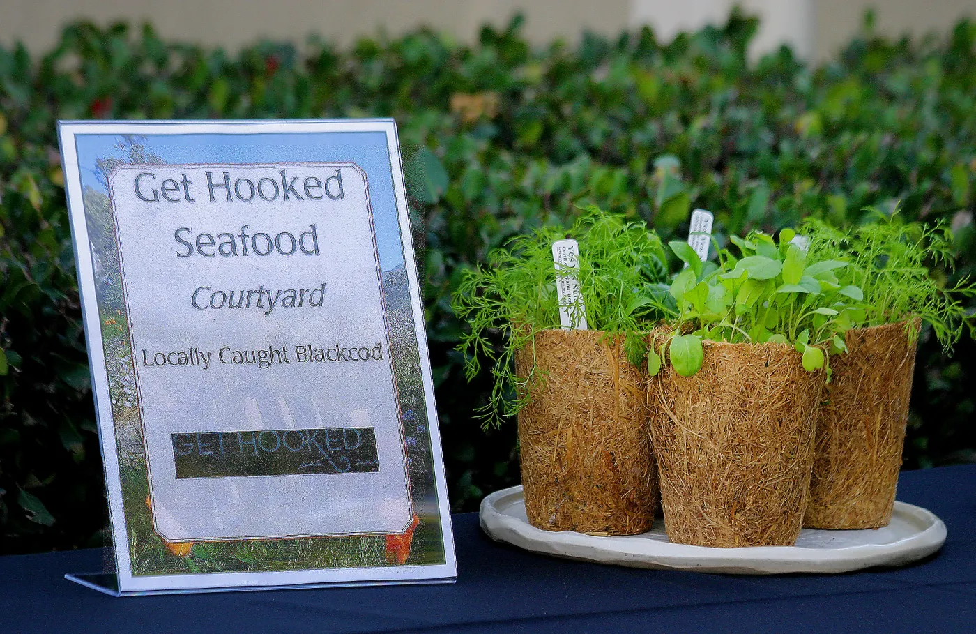 2019 Santa Barbara Beer Garden Event