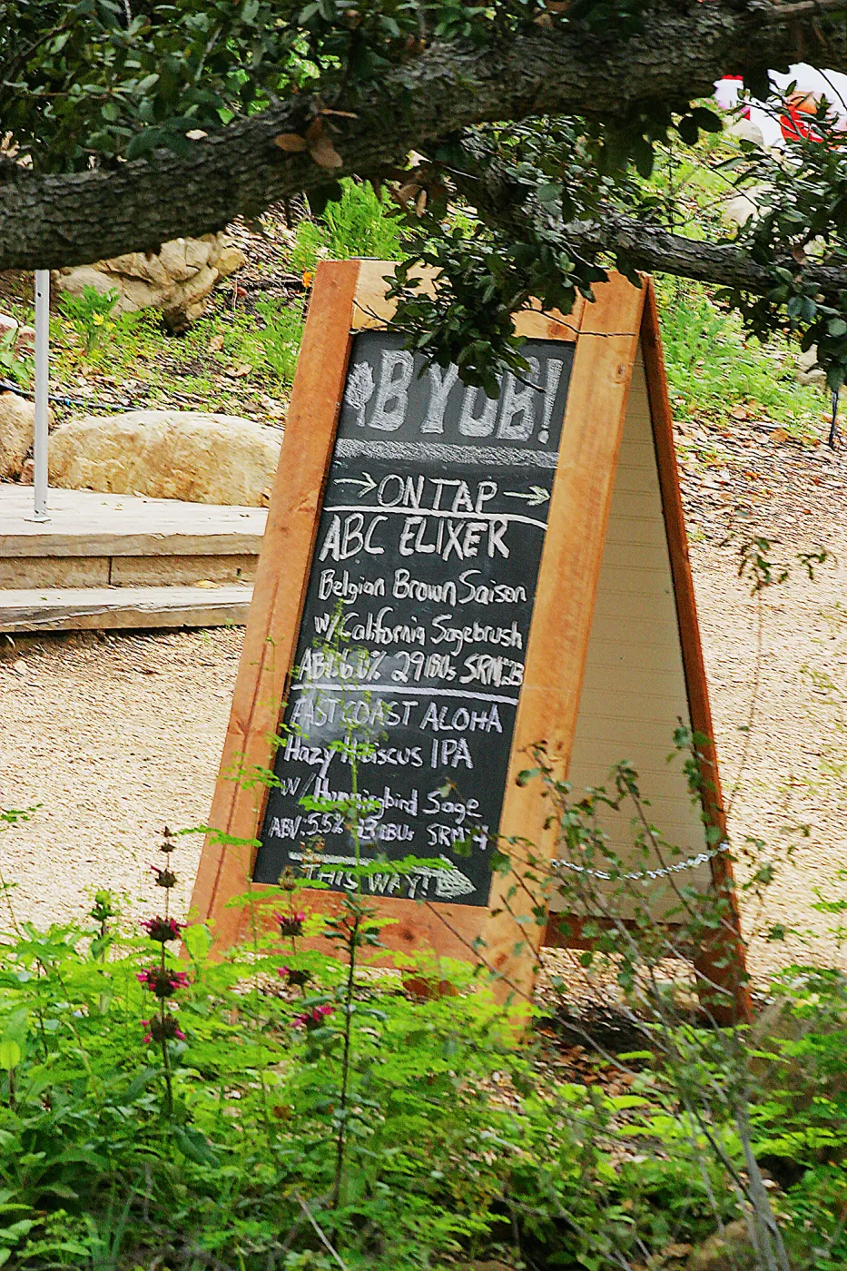 2019 Santa Barbara Beer Garden Event