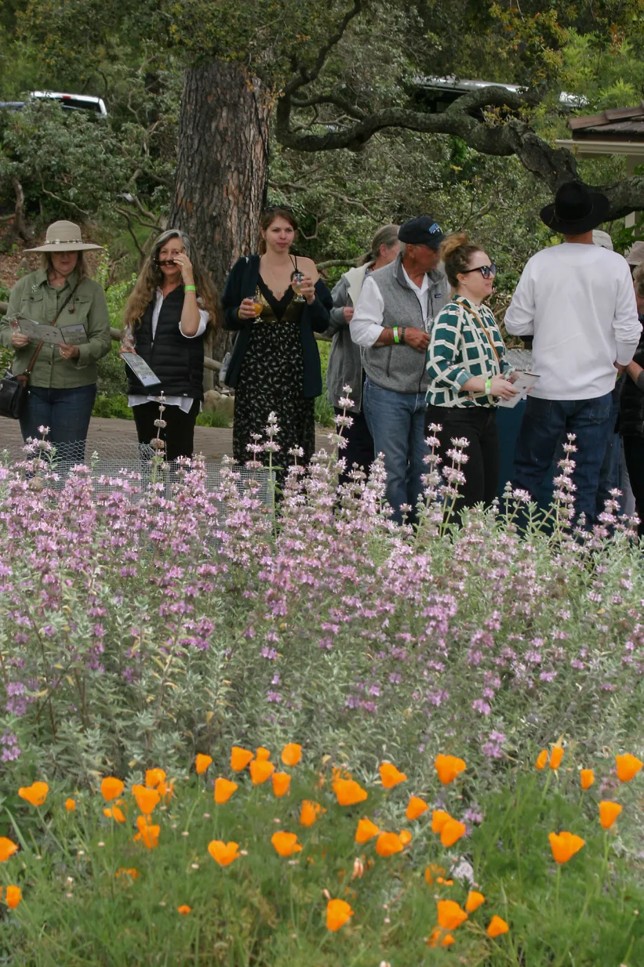 2019 Santa Barbara Beer Garden Event