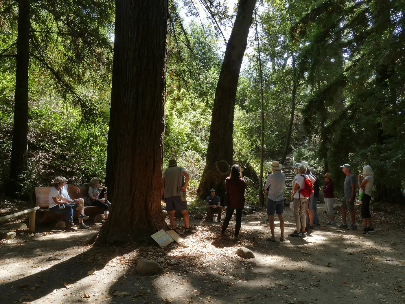 Climate walk in support of the Global Climate Strike