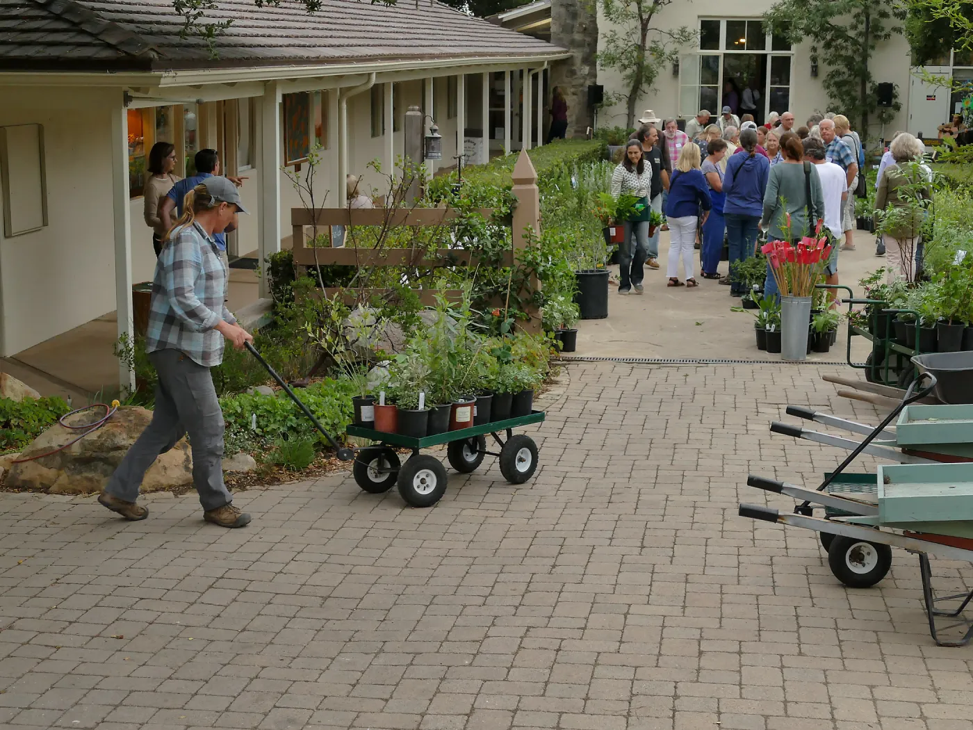 2019 Fall Plant Sale Preview Party