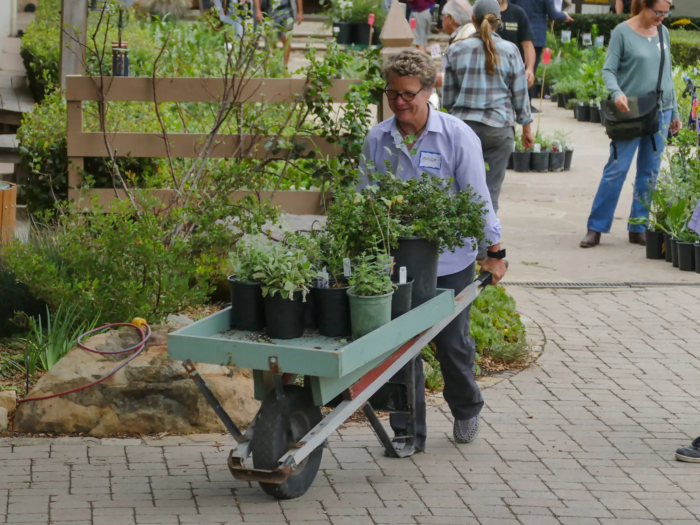 2019 Fall Plant Sale Preview Party