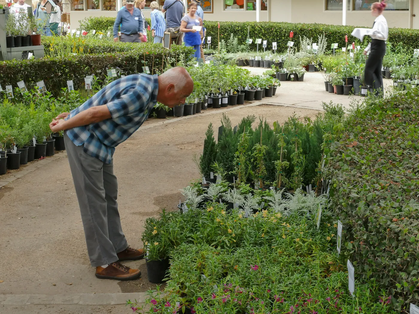 2019 Fall Plant Sale Preview Party