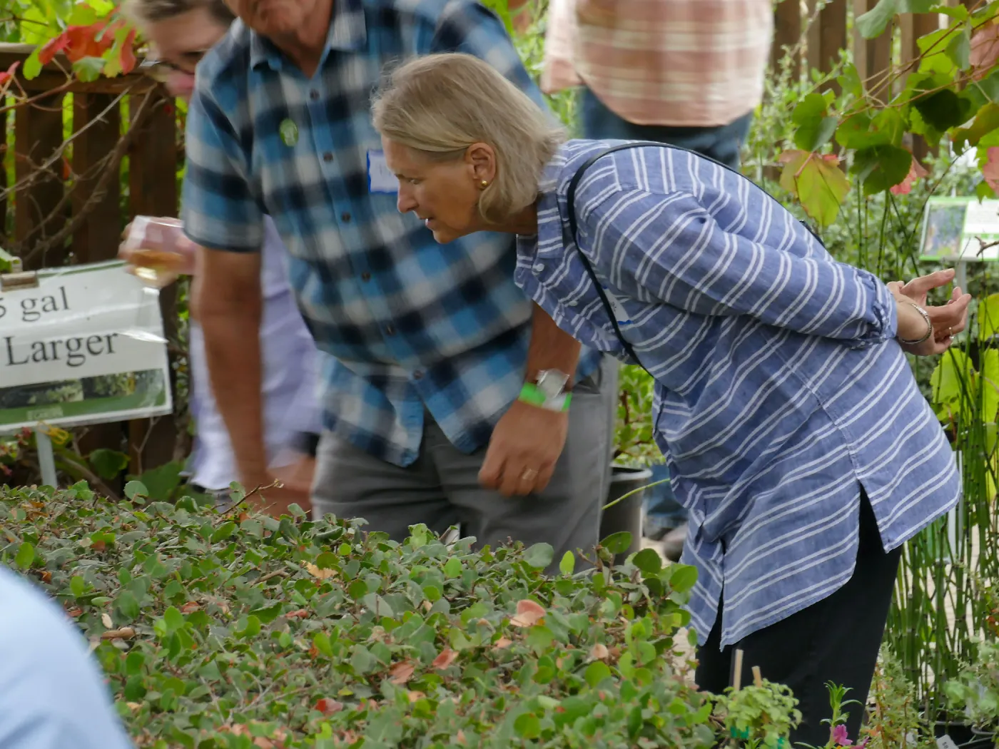 2019 Fall Plant Sale Preview Party