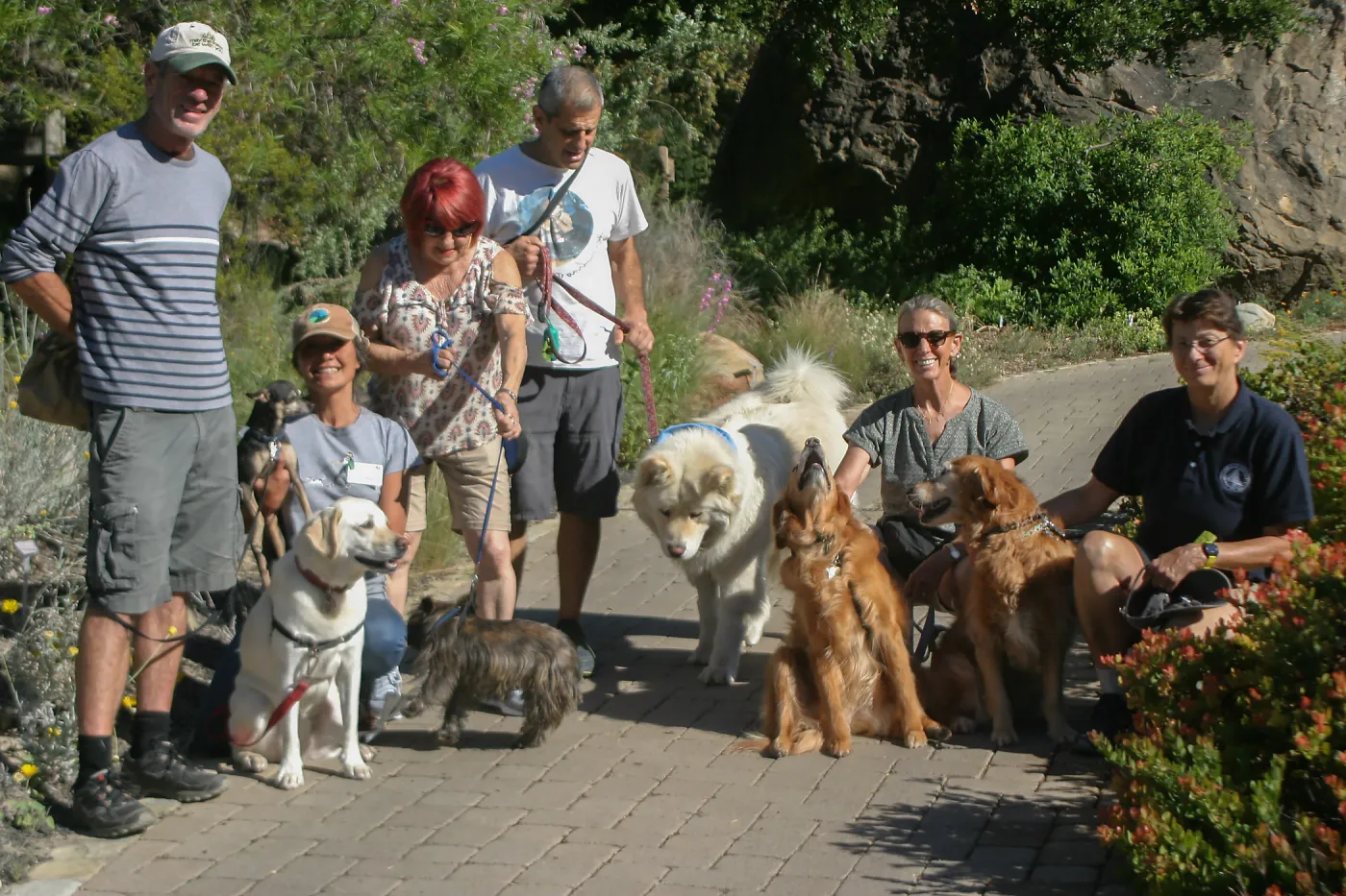 Members Only Dog Walk in the Garden