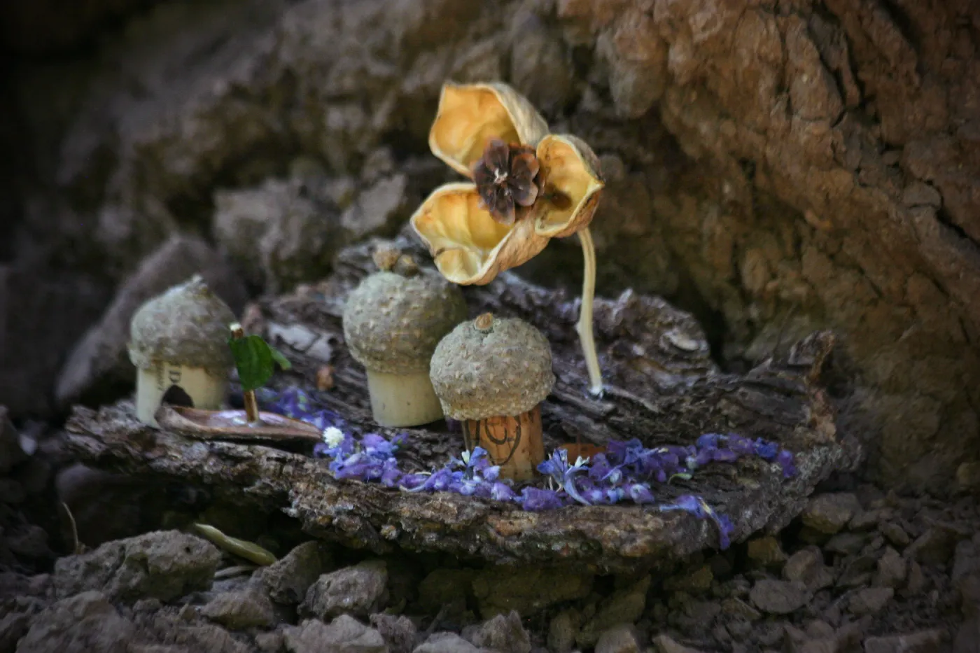 Fairy Homes & Nature Crafts Workshop, fairy village display