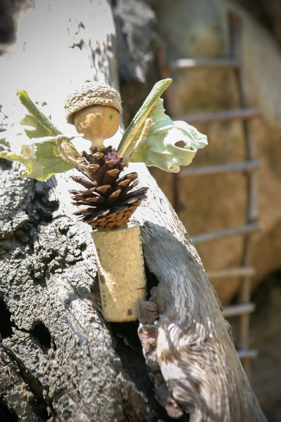 Fairy Homes & Nature Crafts Workshop, fairy village display