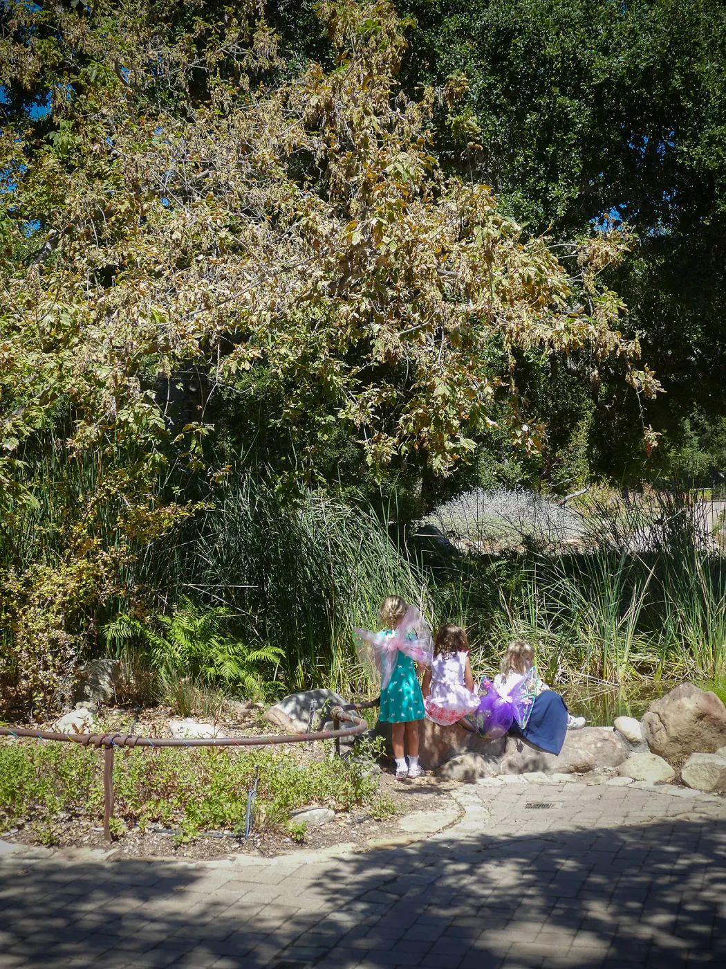 Fairy Homes & Nature Crafts Workshop