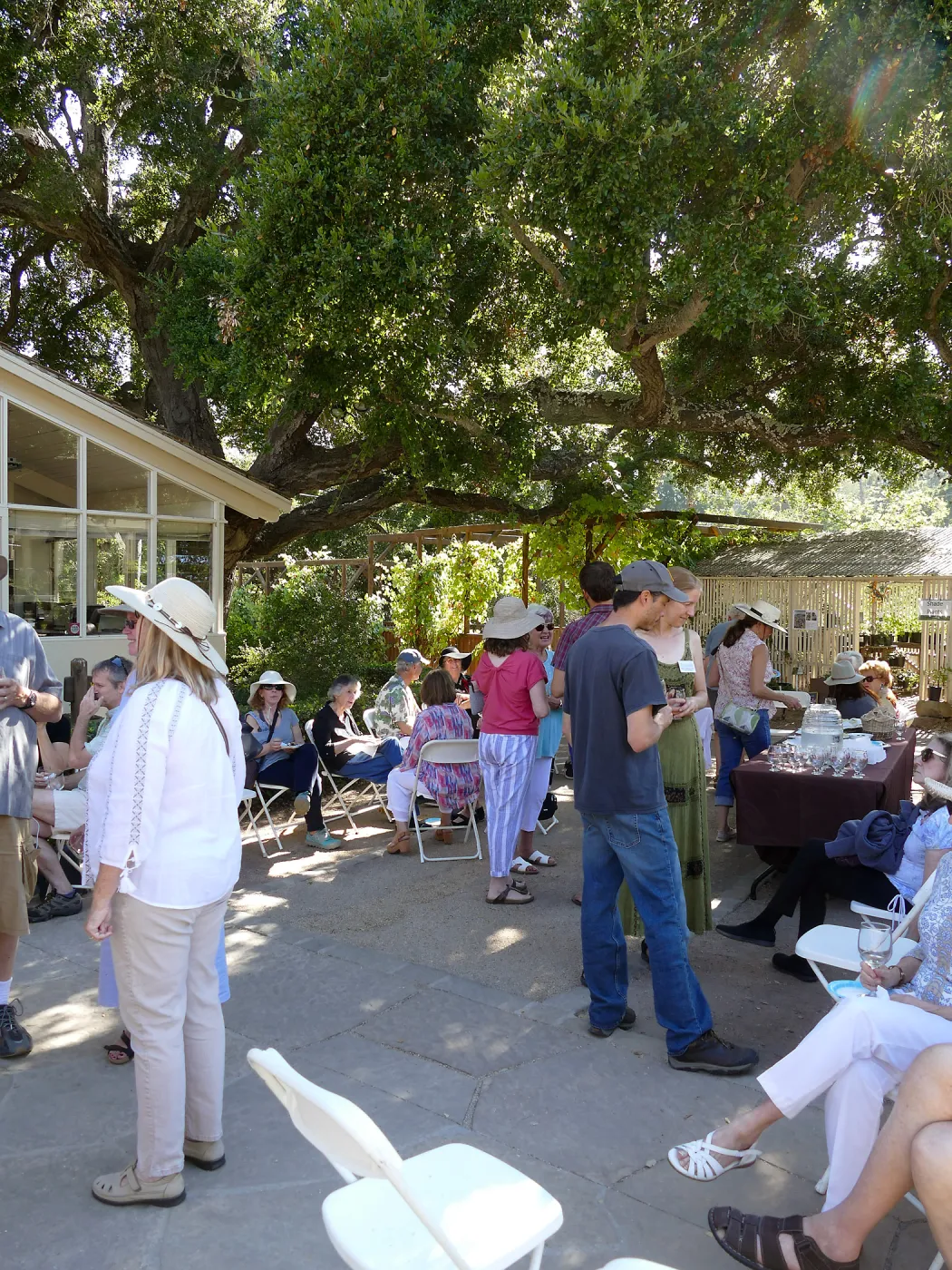 Summer Sips: â€œWhat Wines and Lichens Have in Commonâ€ with Rikke Naesborg