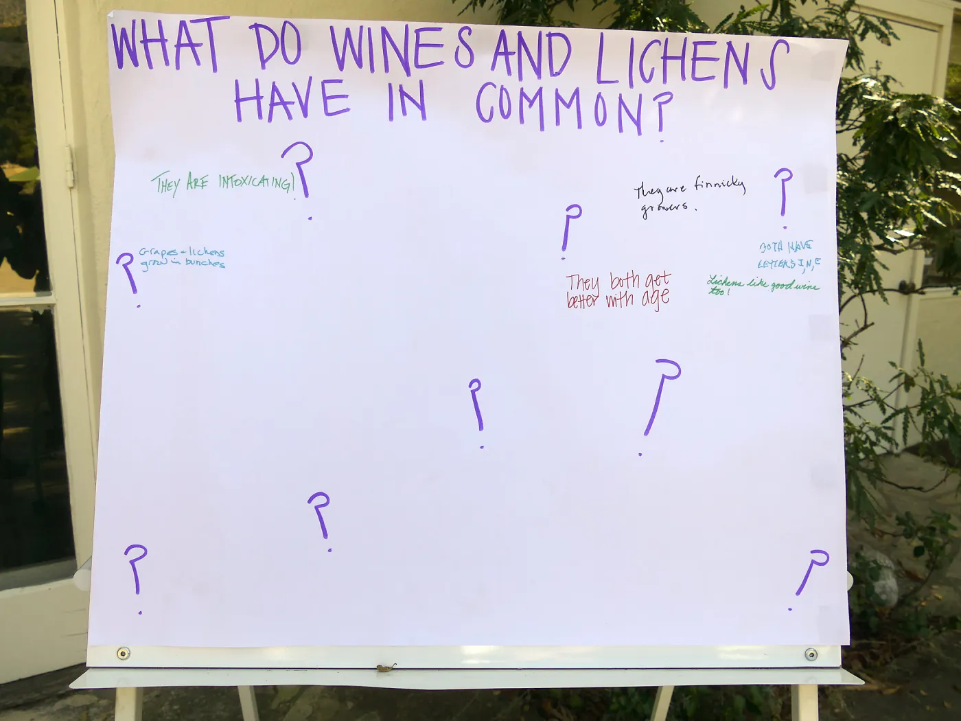 Summer Sips: â€œWhat Wines and Lichens Have in Commonâ€ with Rikke Naesborg