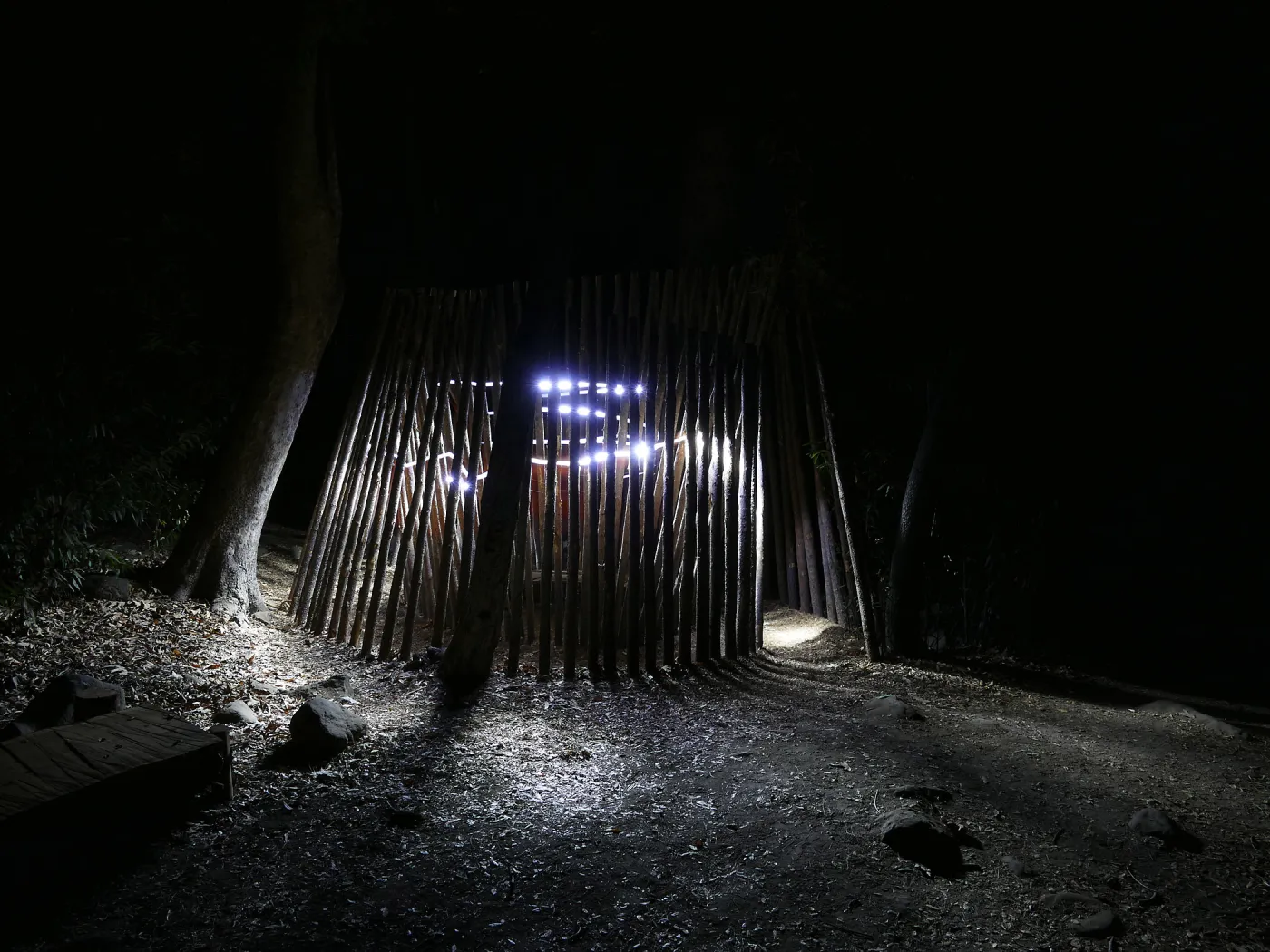 Understory Casita, Full Moon Family Night