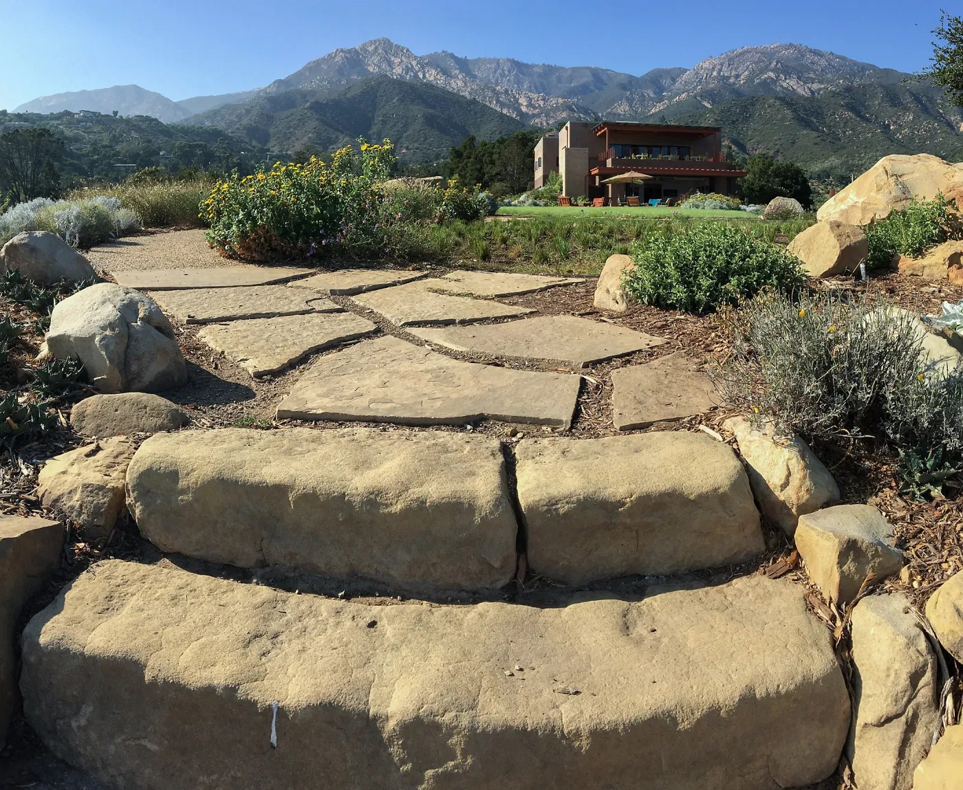 New Steps, PCC