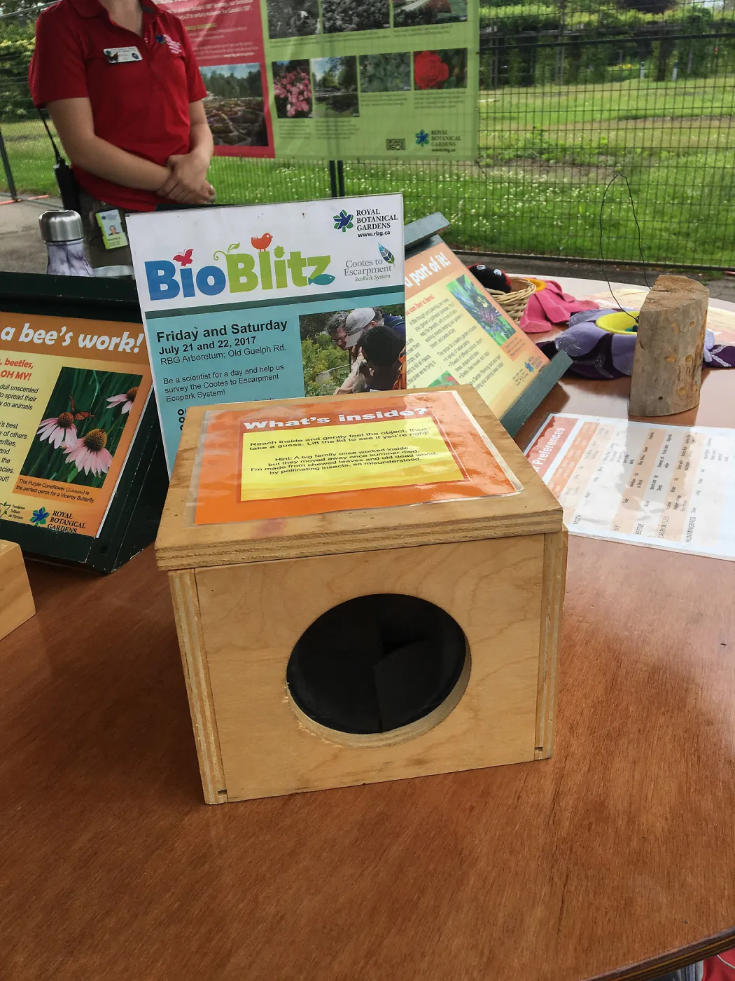 Royal Botanic Garden, Ontario, Canada, BioBlitz bee display