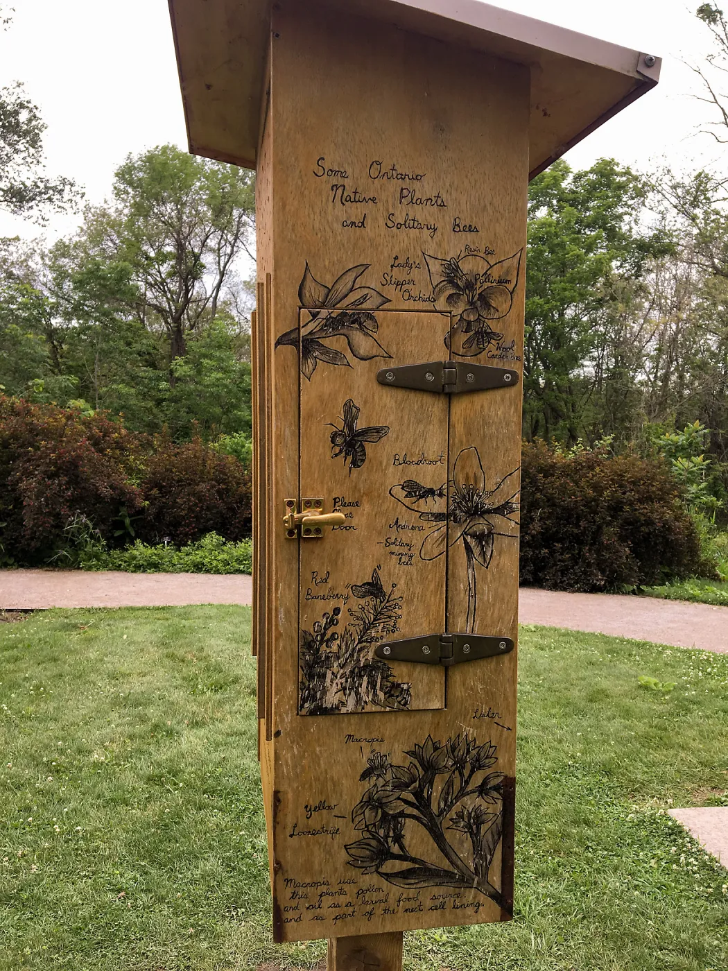 Royal Botanic Garden, Ontario, Canada, BioBlitz audio Bee Booth, Imagination Grove