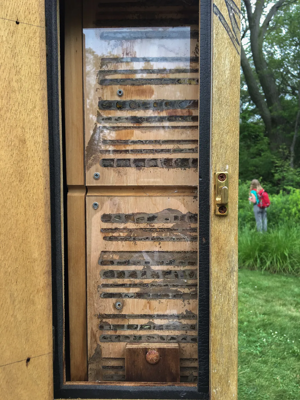 Royal Botanic Garden, Ontario, Canada, BioBlitz audio Bee Booth, Imagination Grove