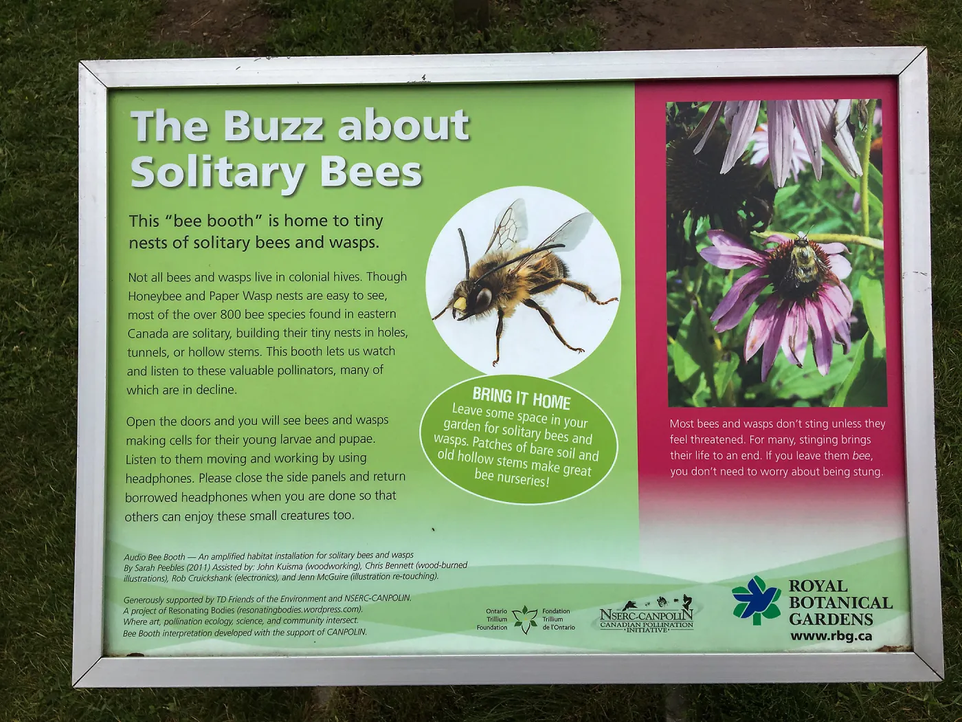 Royal Botanic Garden, Ontario, Canada, BioBlitz Bee display, Imagination Grove