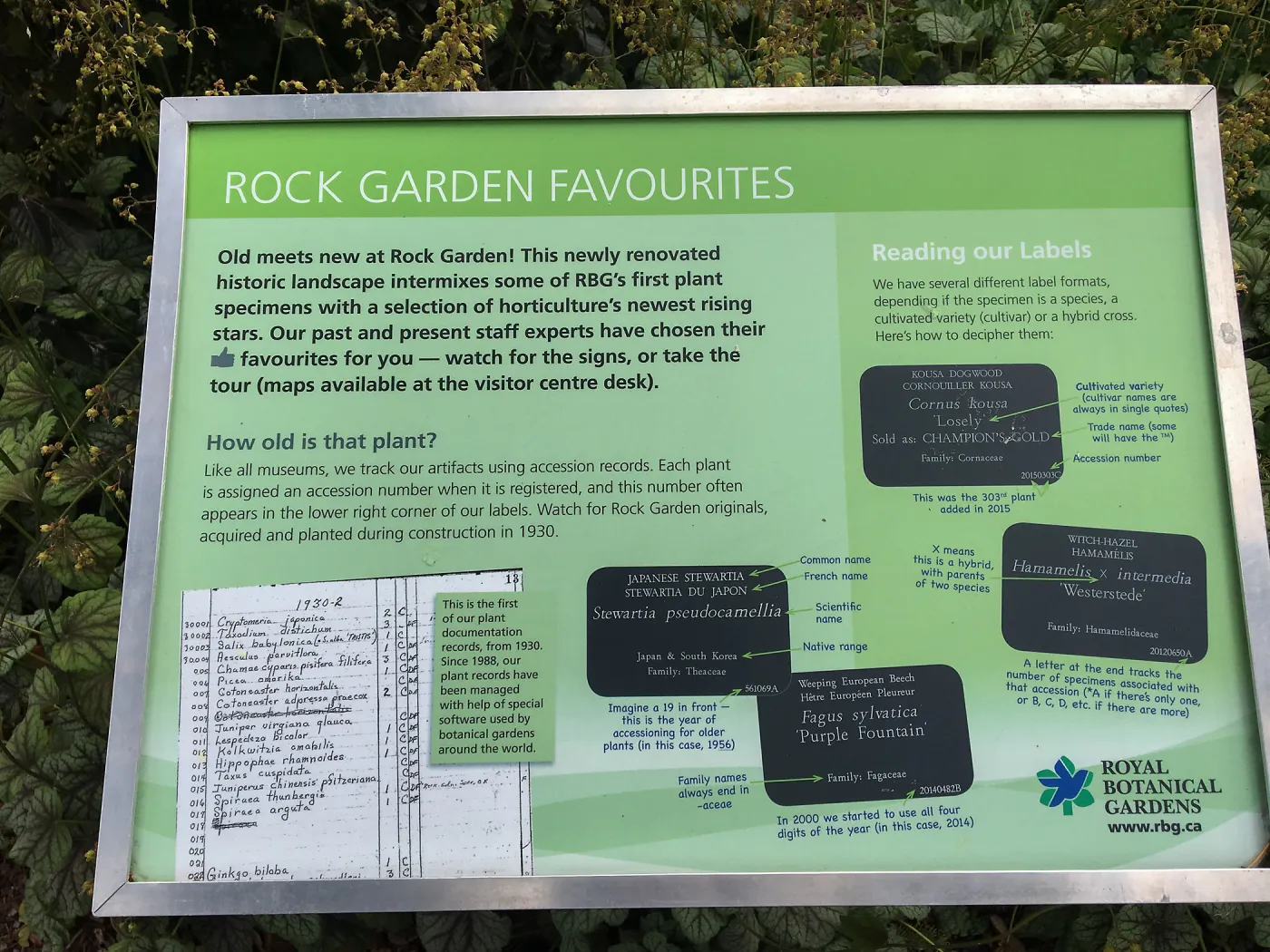 Royal Botanic Garden, Ontario, Canada, Rock Garden information sign
