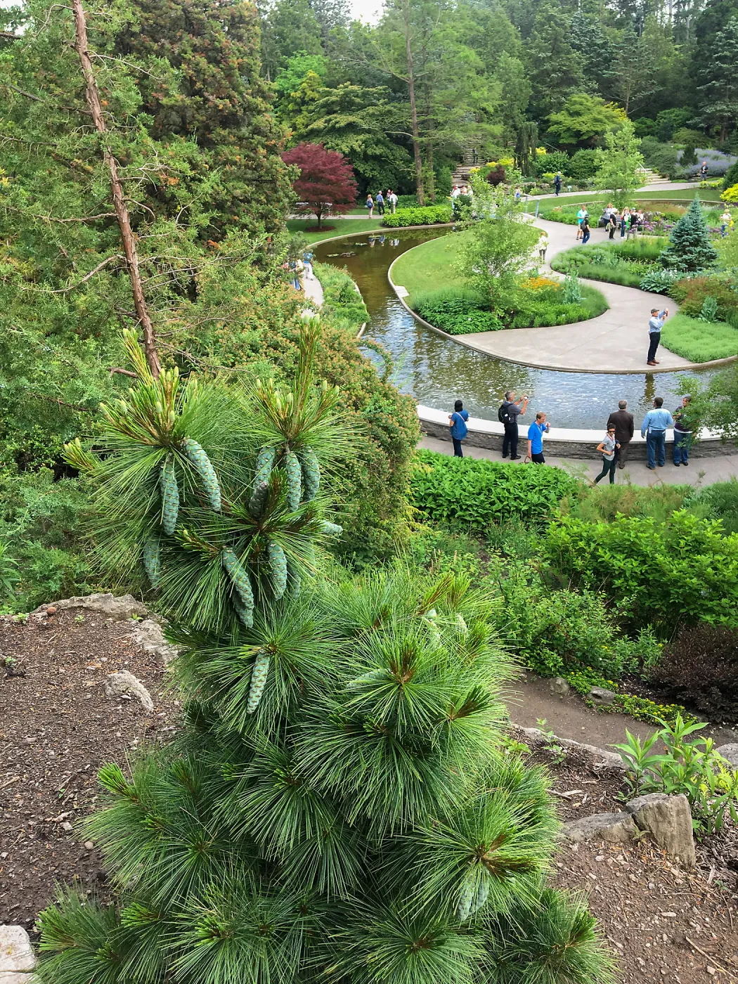 Royal Botanic Garden, Ontario, Canada