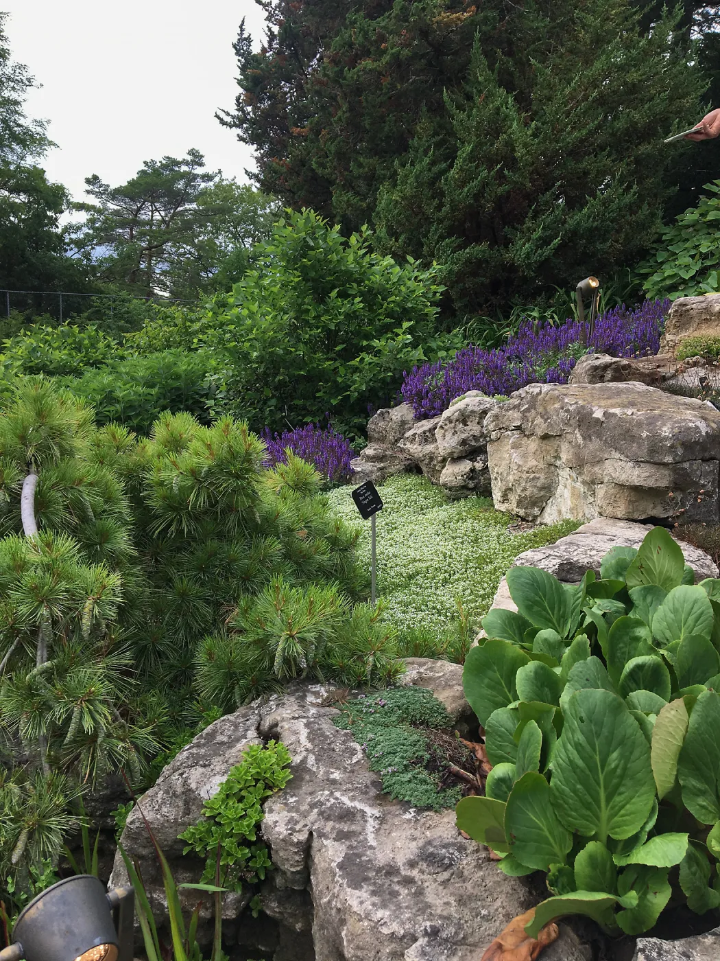 Royal Botanic Garden, Ontario, Canada