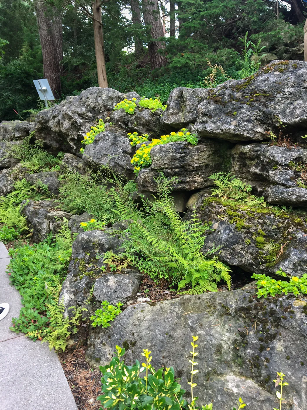 Royal Botanic Garden, Ontario, Canada