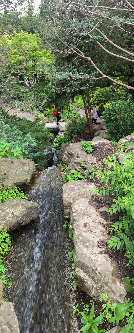 Stream at Royal Botanic Garden, Ontario, Canada