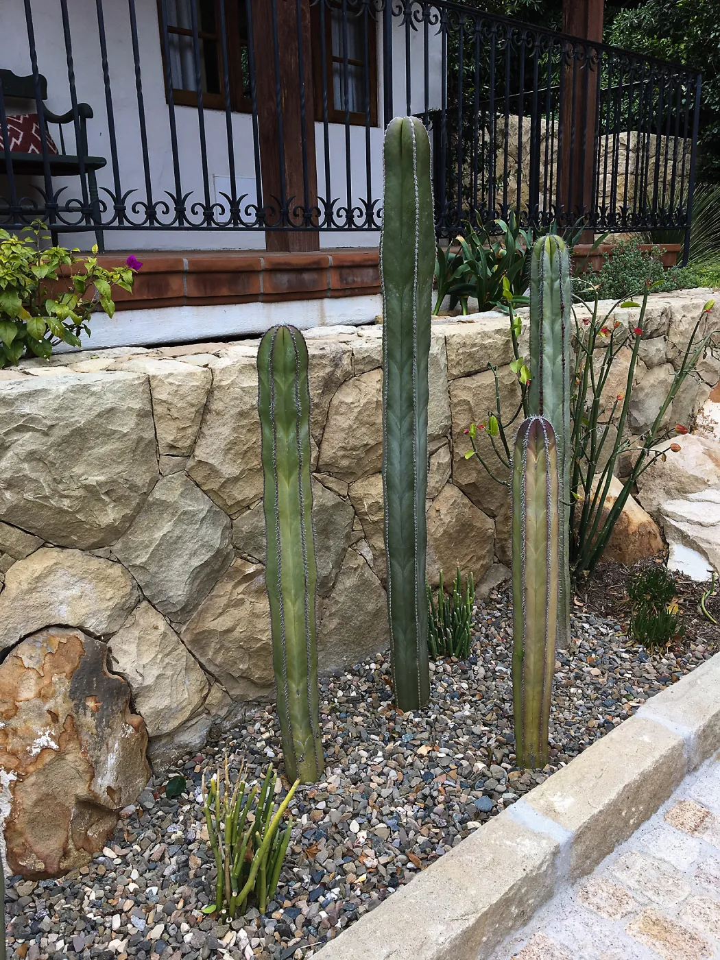 Montecito garden designed by Isabelle Greene