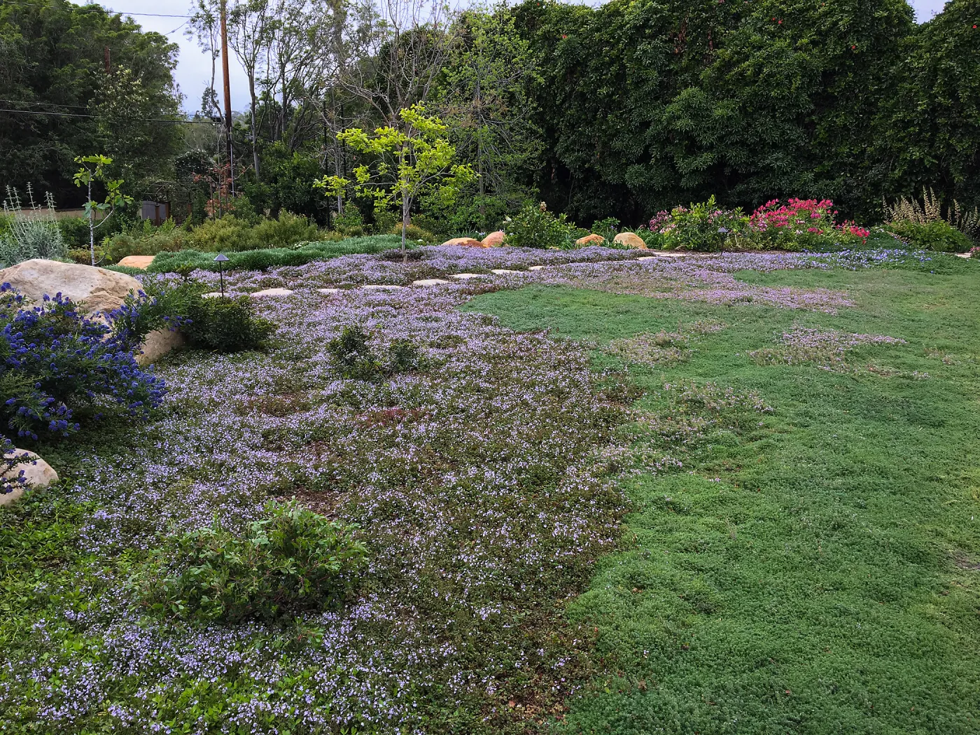 Montecito garden designed by Isabelle Greene