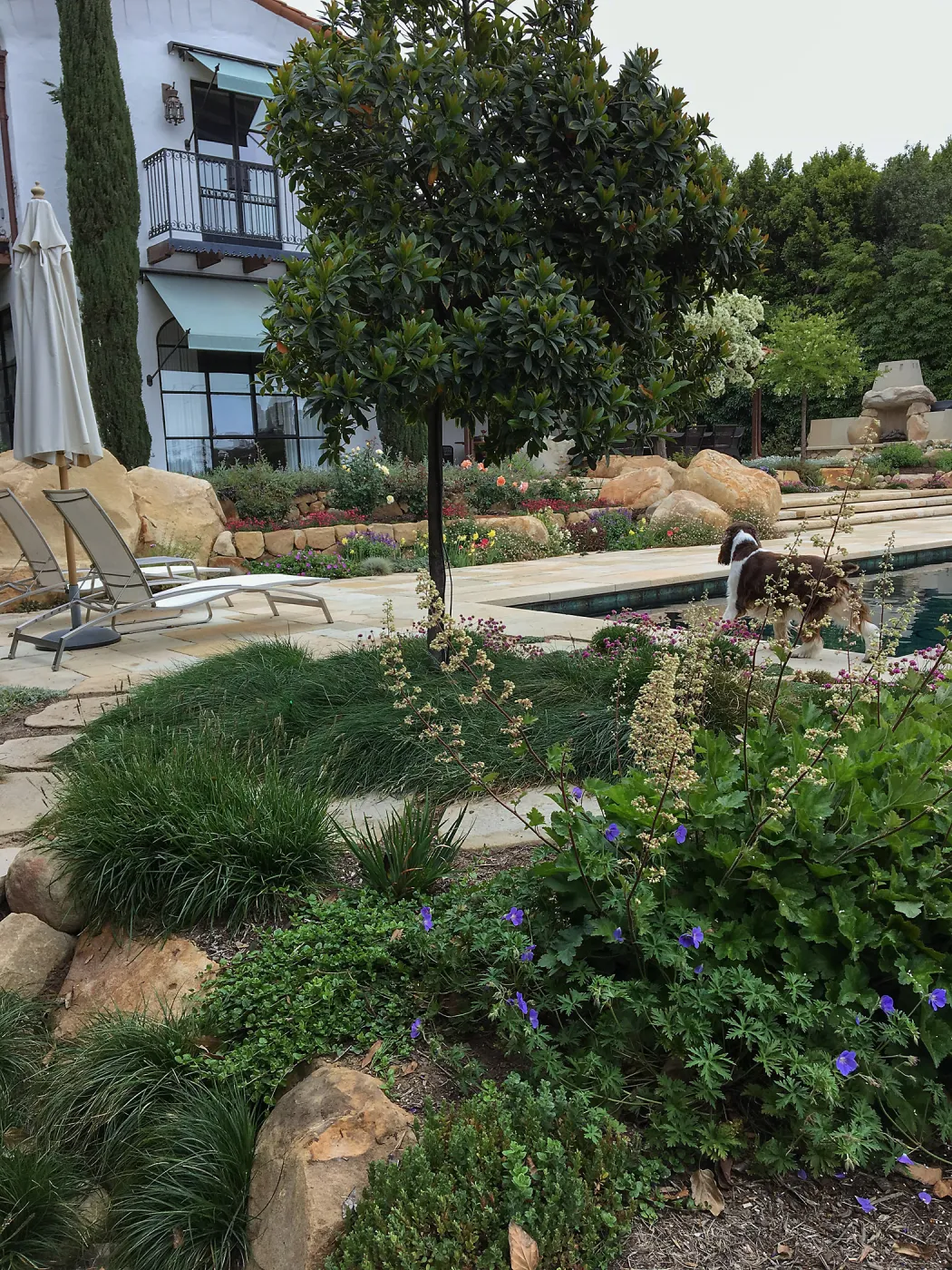 Montecito garden designed by Isabelle Greene