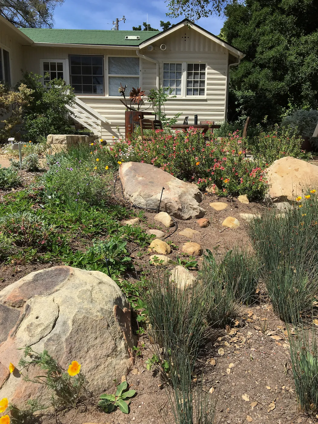 Rain garden at the Water Wise Home Garden