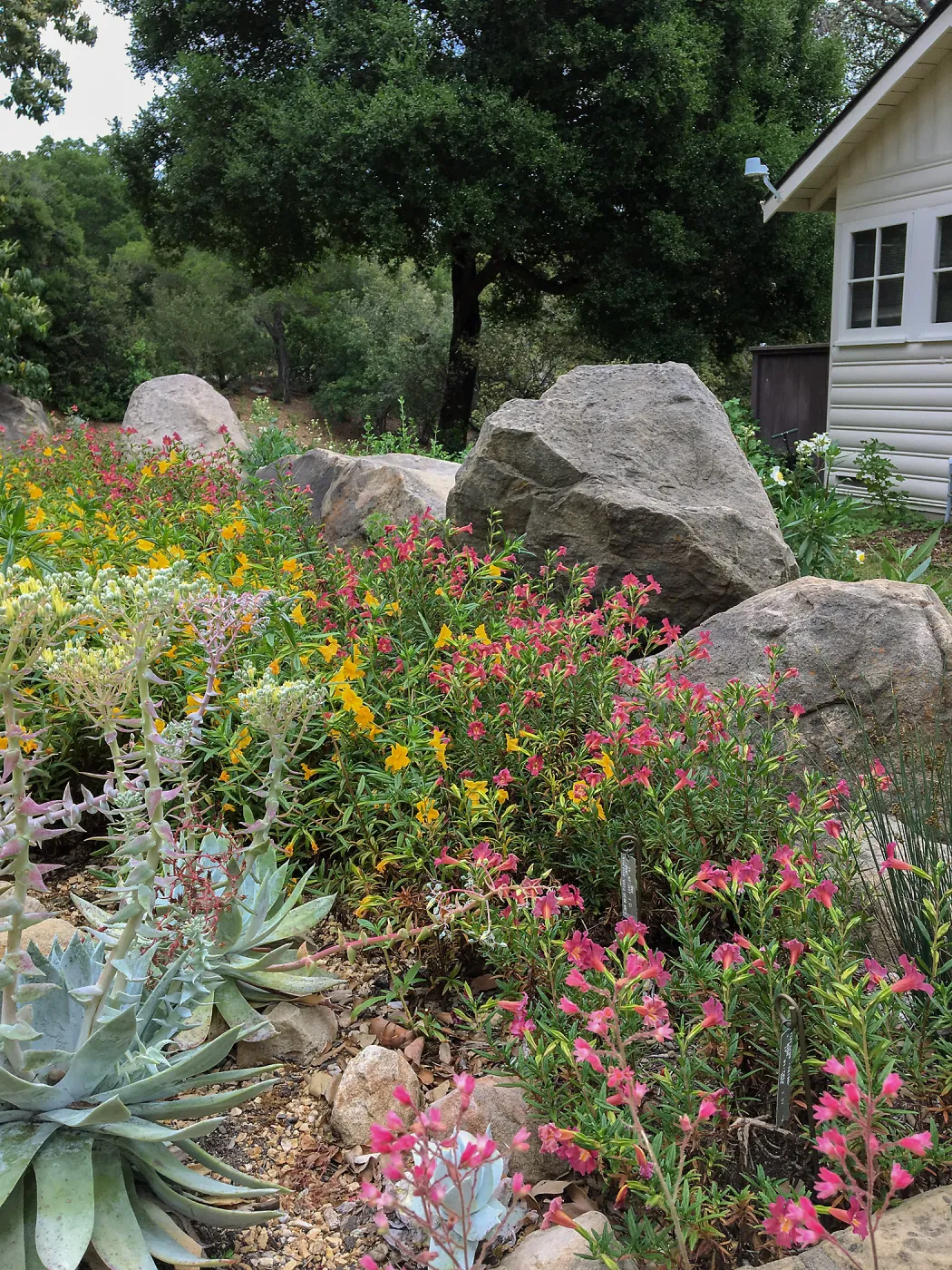 Water Wise Home Demonstration Garden