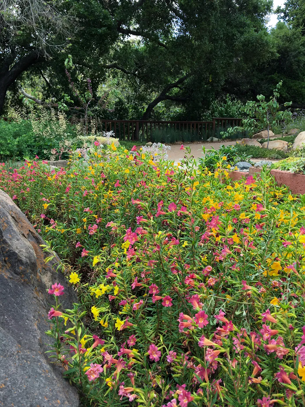 Water Wise Home Demonstration Garden