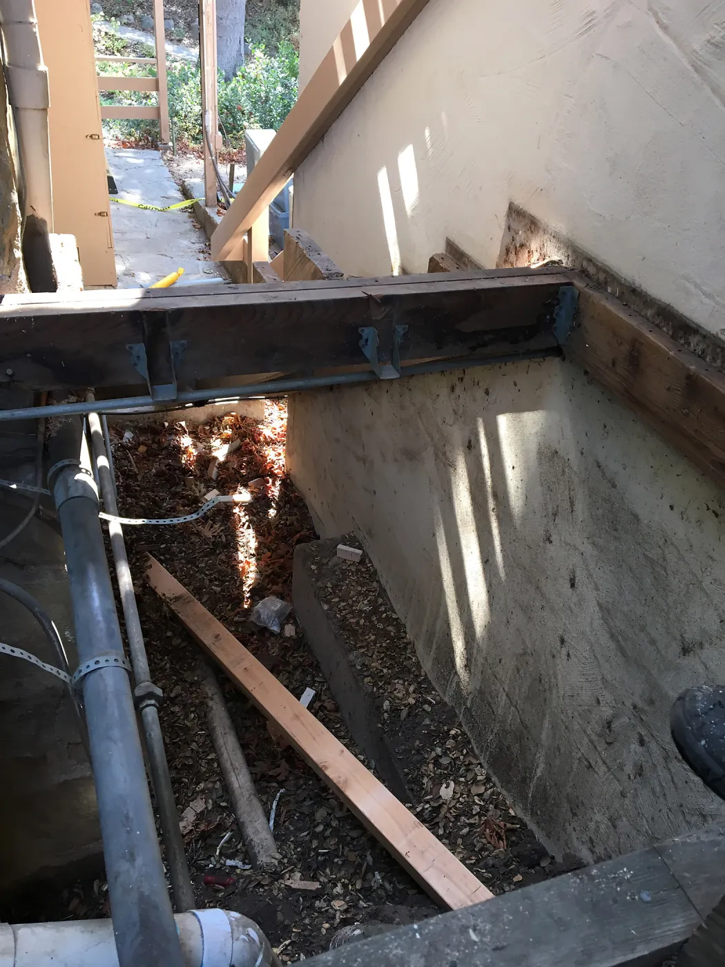 Clean-up and prep for fumigating the Herbarium building