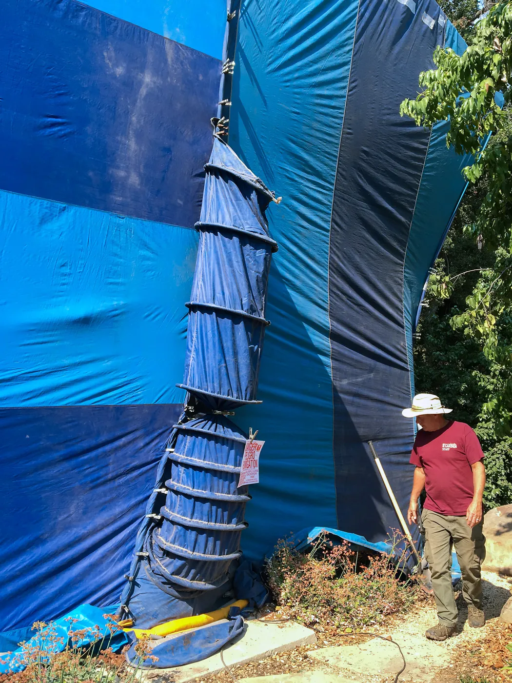 Fumigation of the Herbarium building