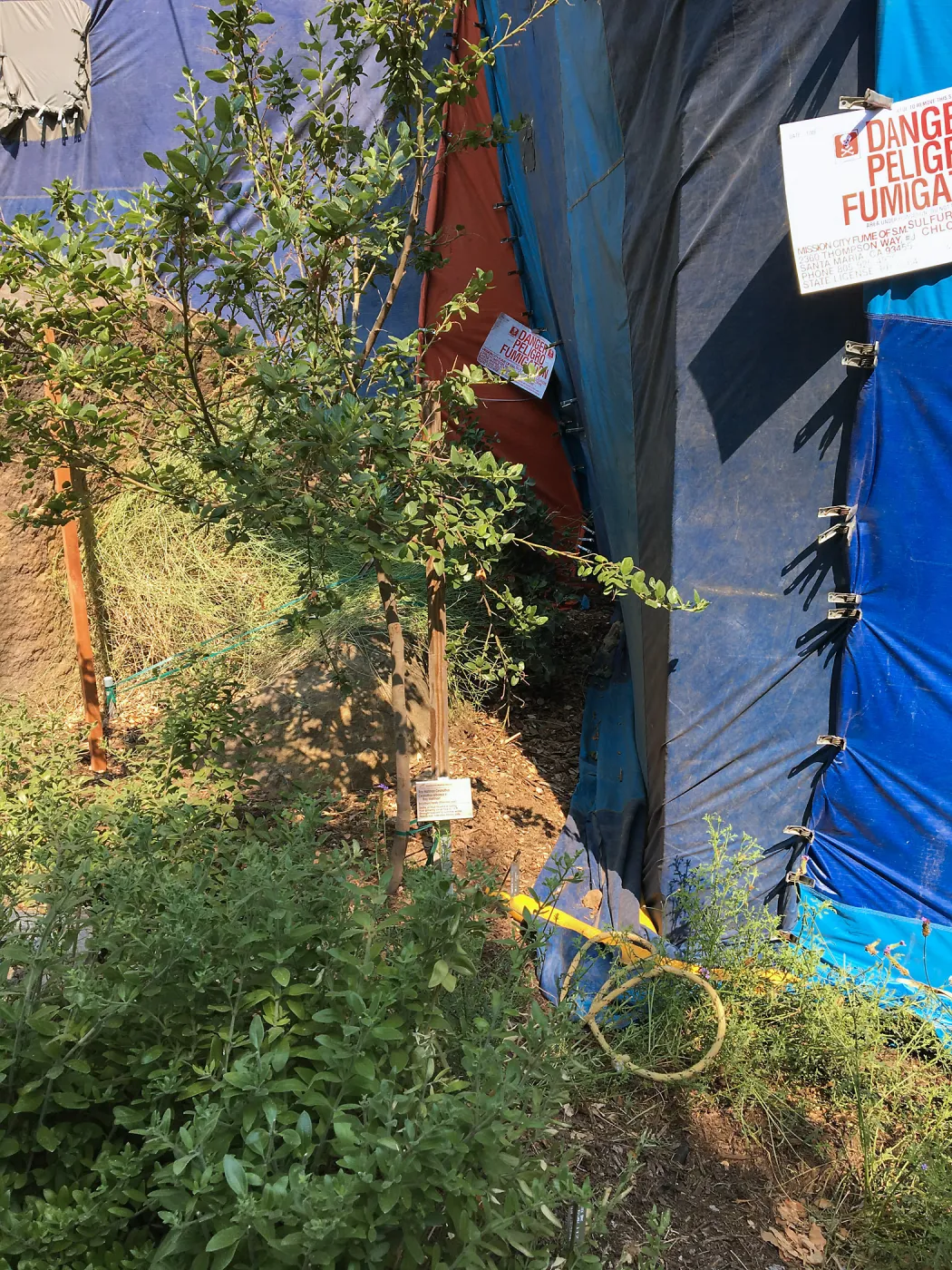 Fumigation of the Herbarium building