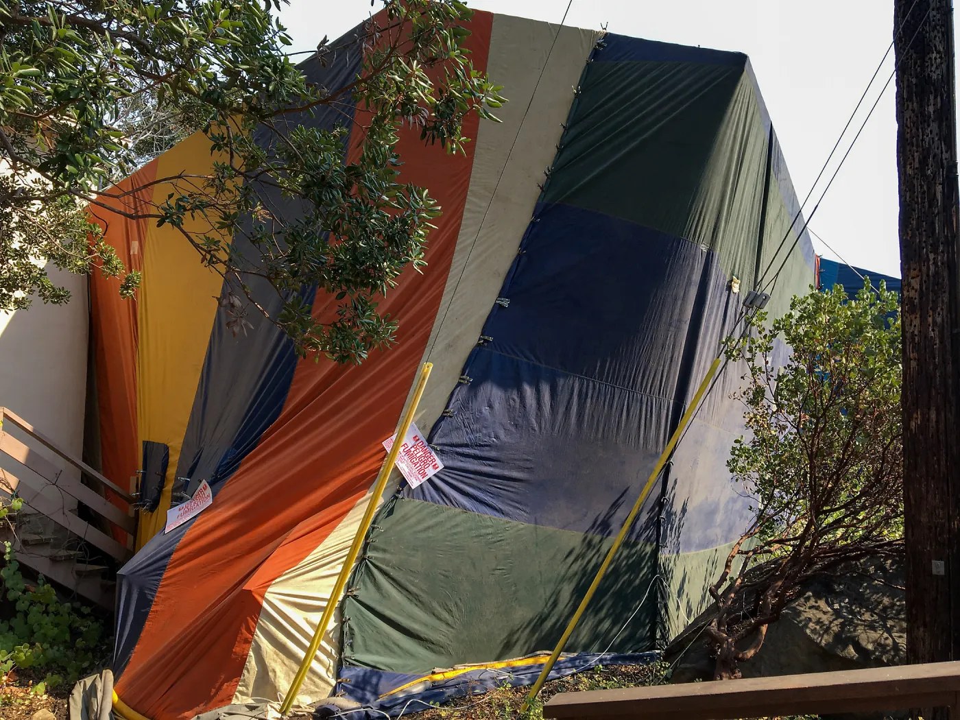 Fumigation of the Herbarium building