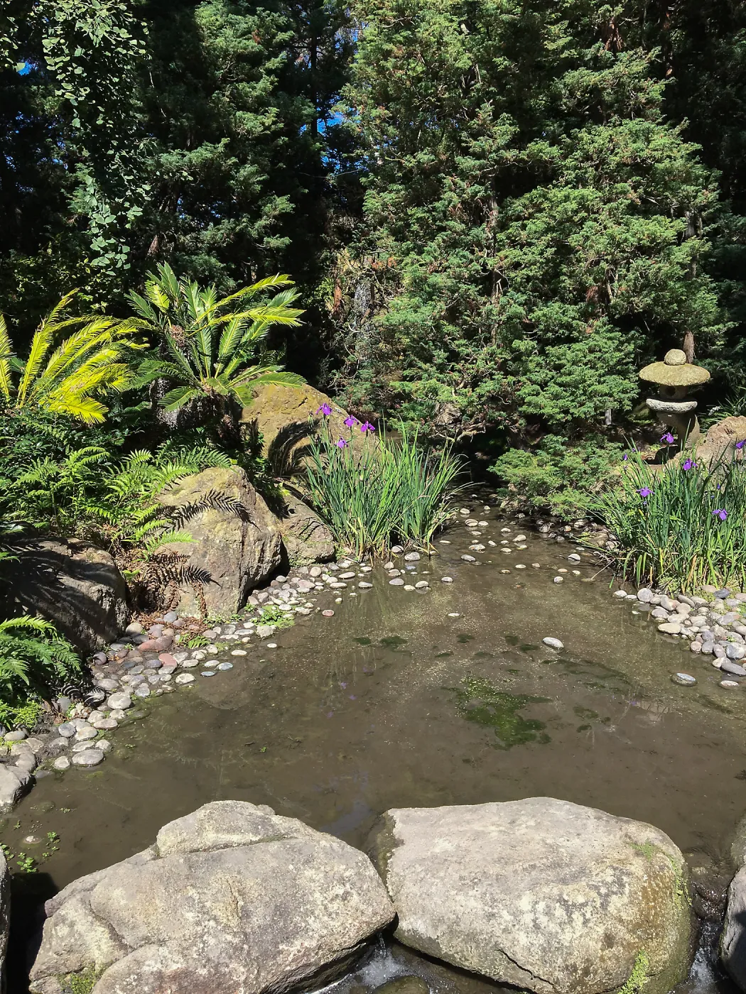 Stone lantern at Lotusland