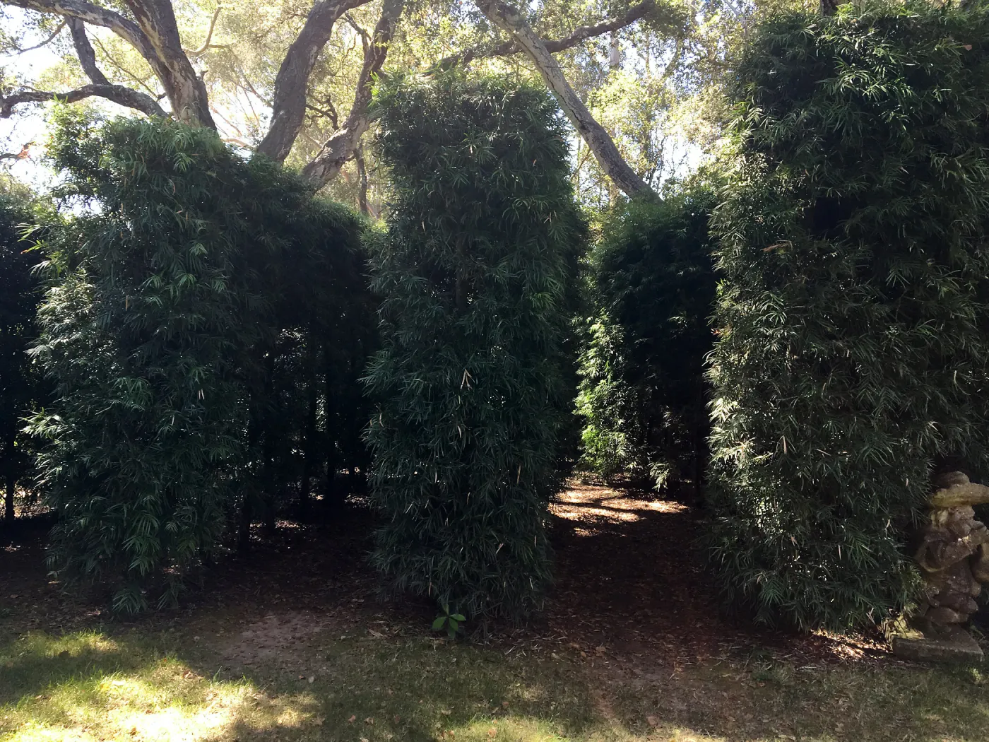 Hedge display at Lotusland