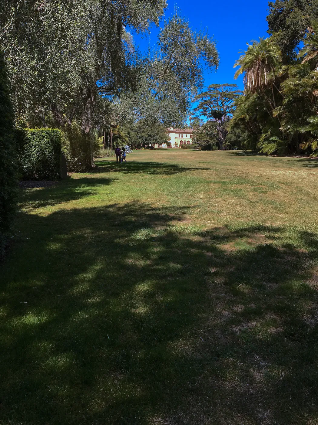 Lawn at Lotusland