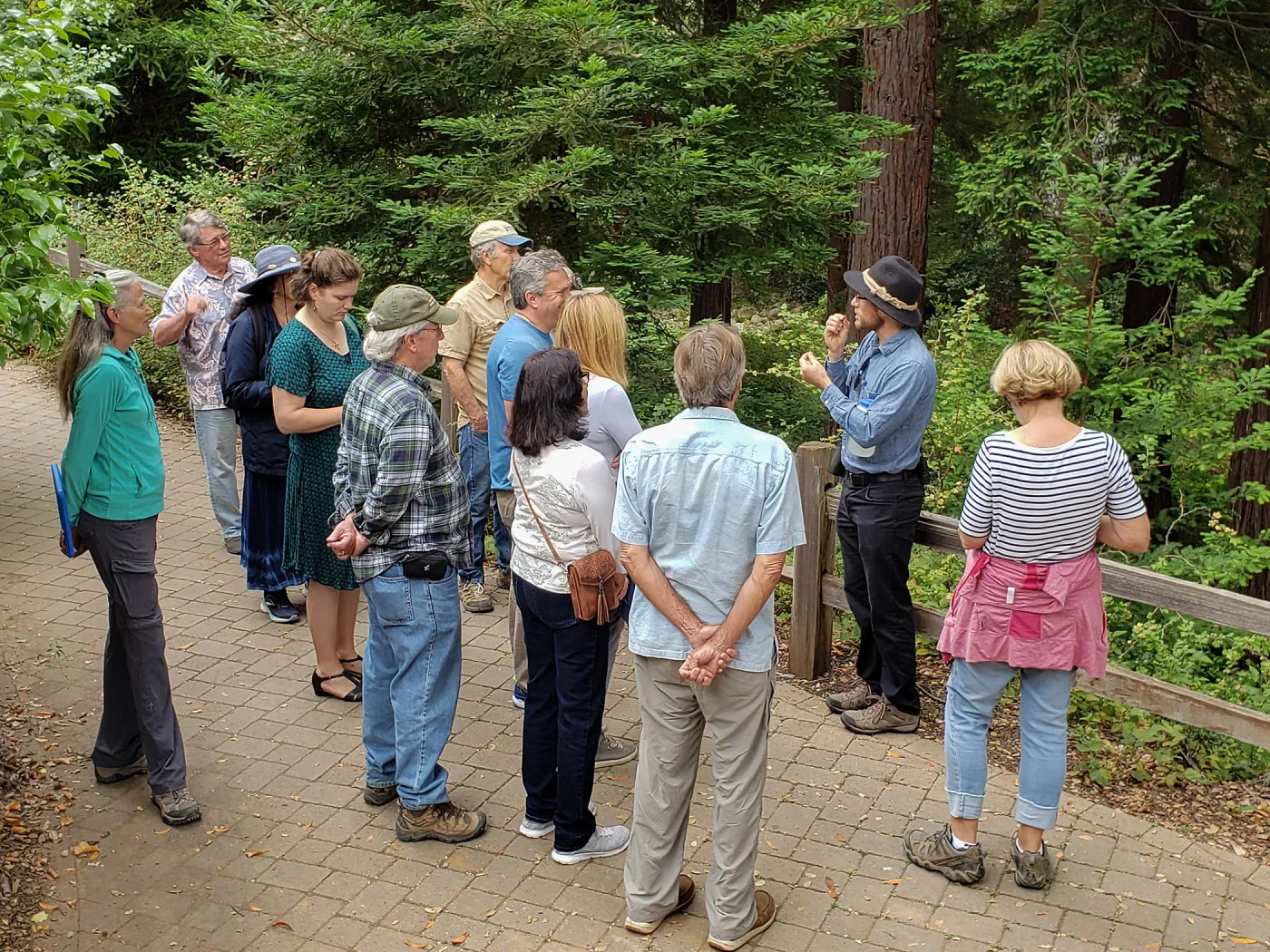 Greet the Day Stroll in the Redwood Section