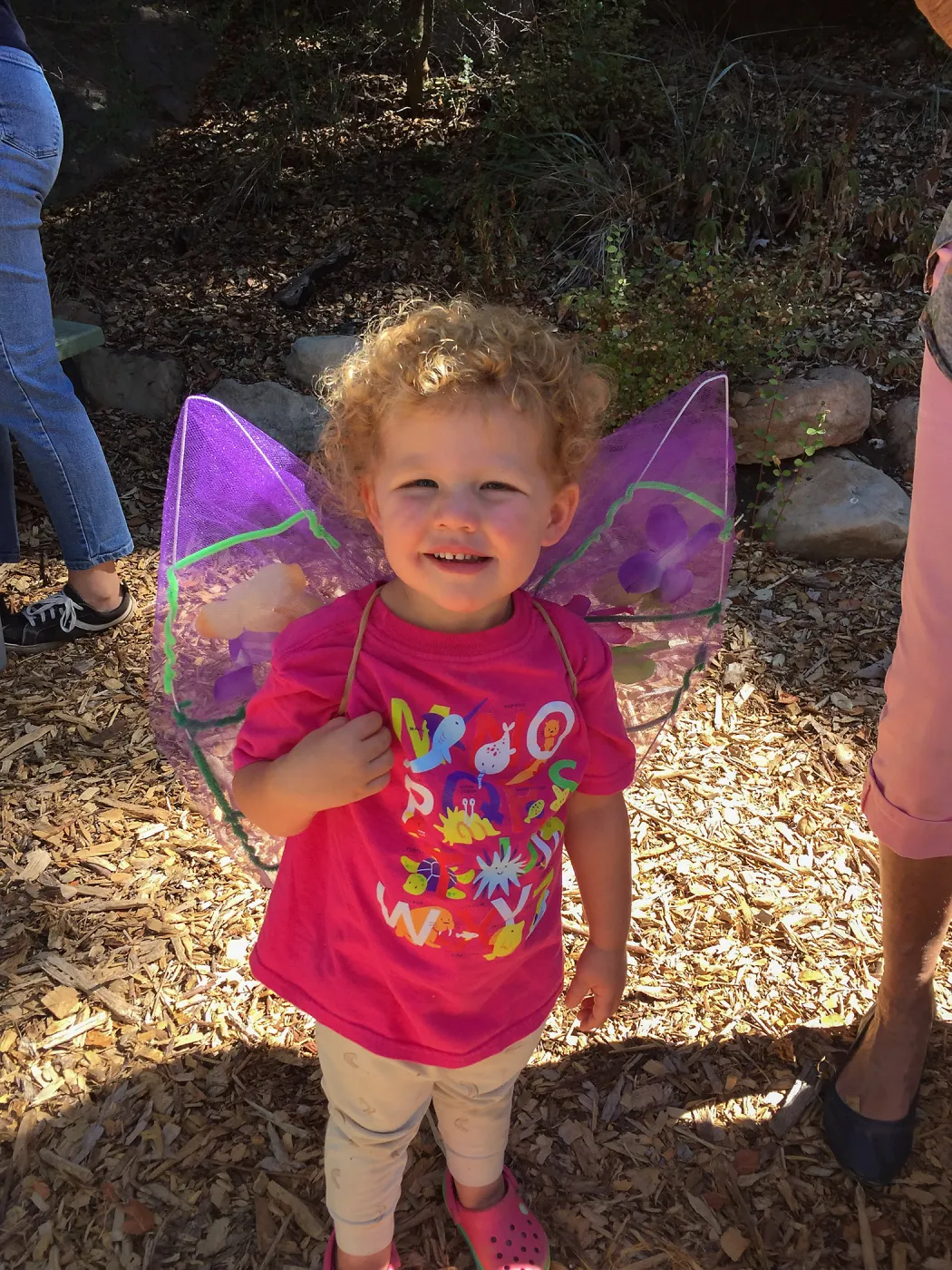 Fairy Homes and Nature Crafts Workshop