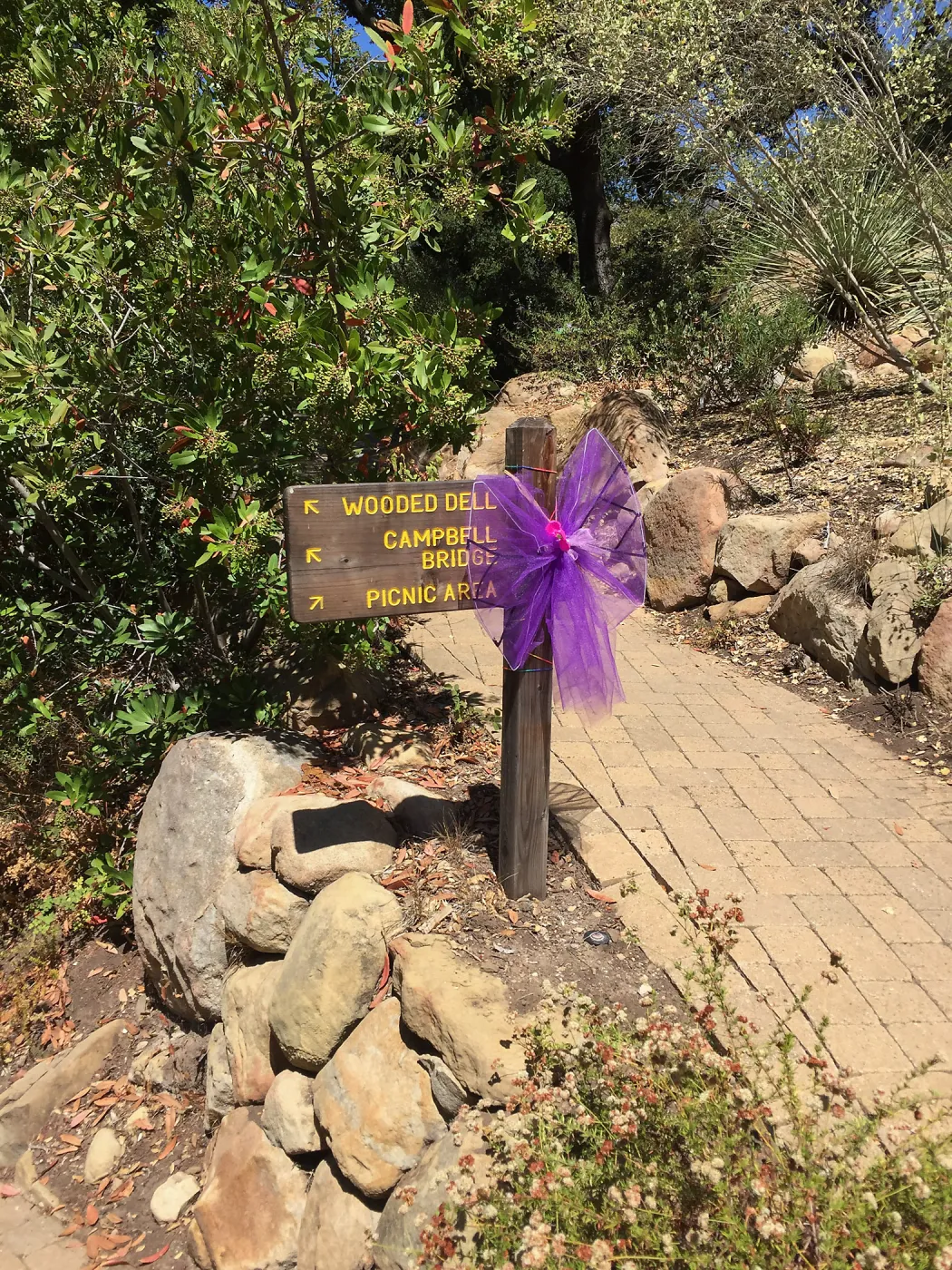 Fairy Homes and Nature Crafts Workshop