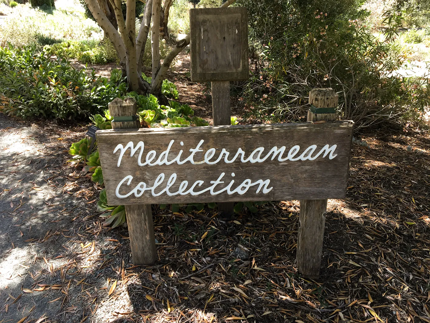 Signage at Leaning Pine Arboretum, Cal Poly San Luis Obispo